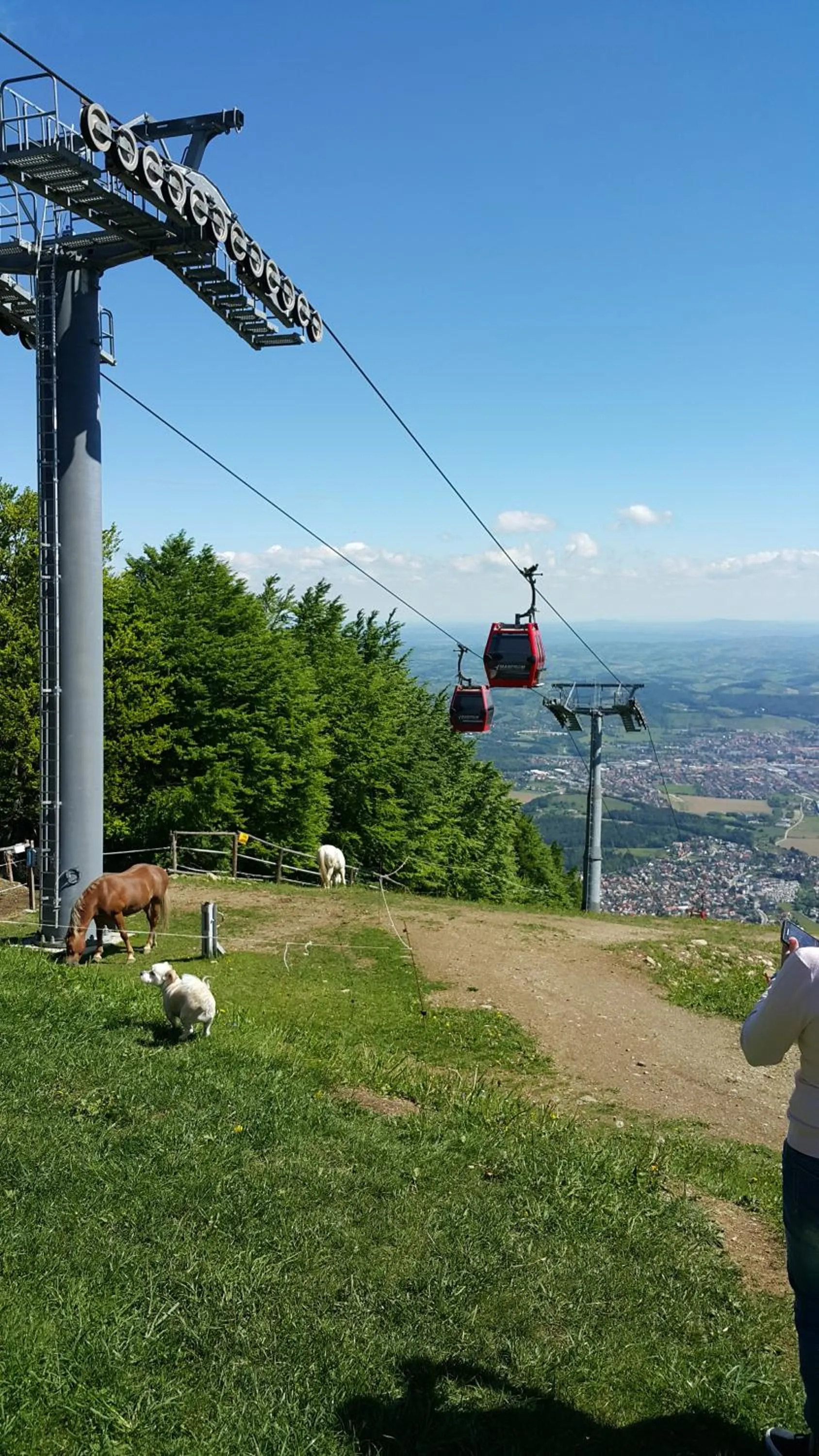Nearby landmark in Hotel Bajt Maribor