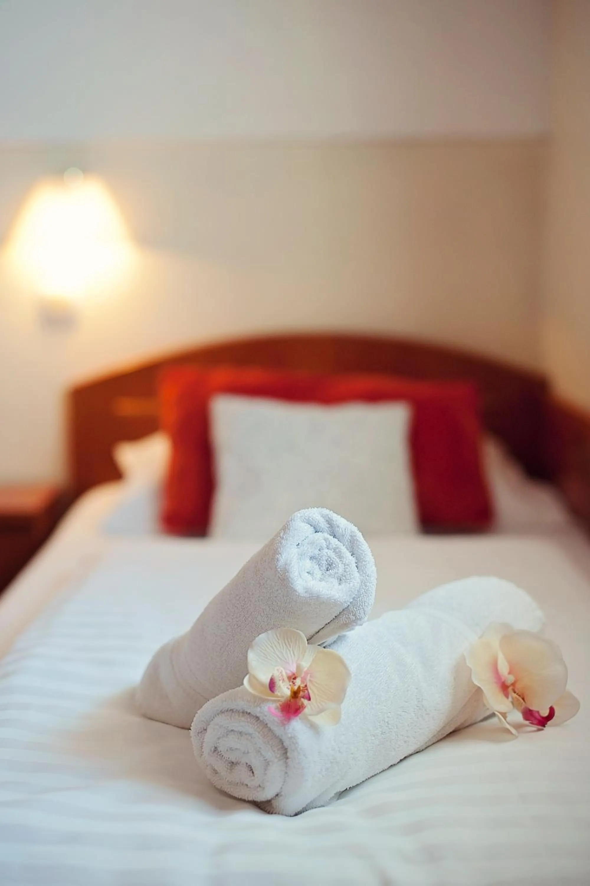 Bed in Hotel Bajt Maribor