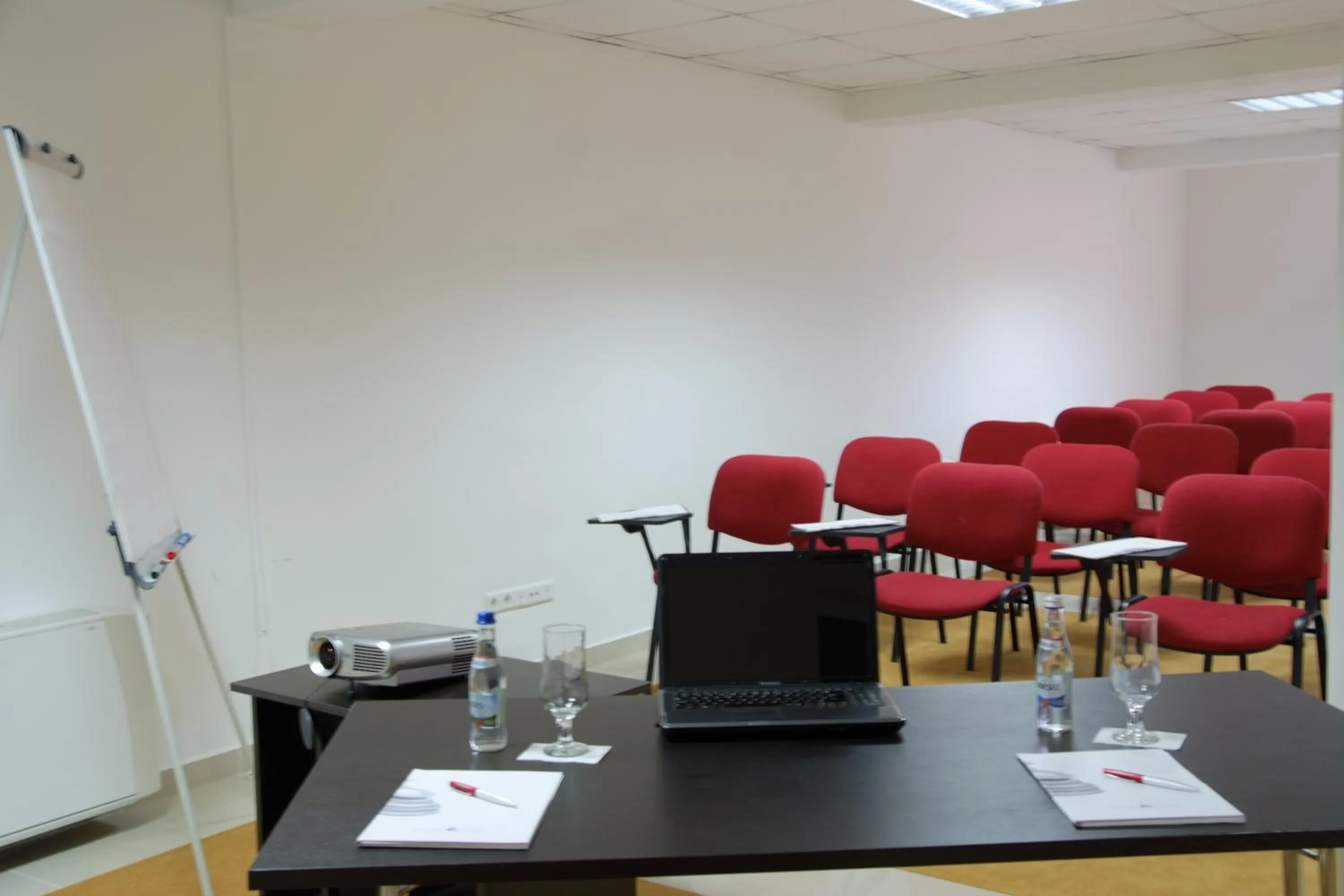 Business facilities in Silver Hotel