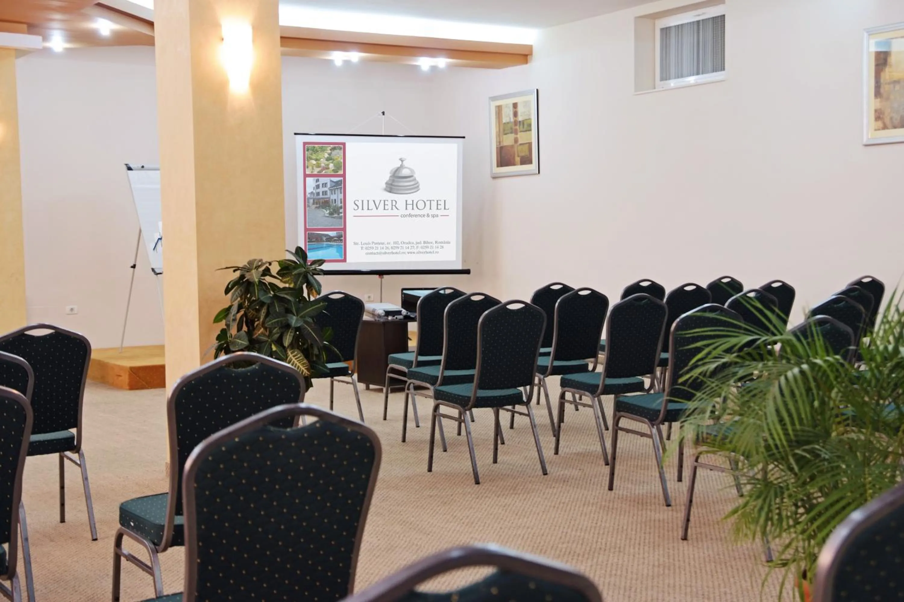 Business facilities in Silver Hotel