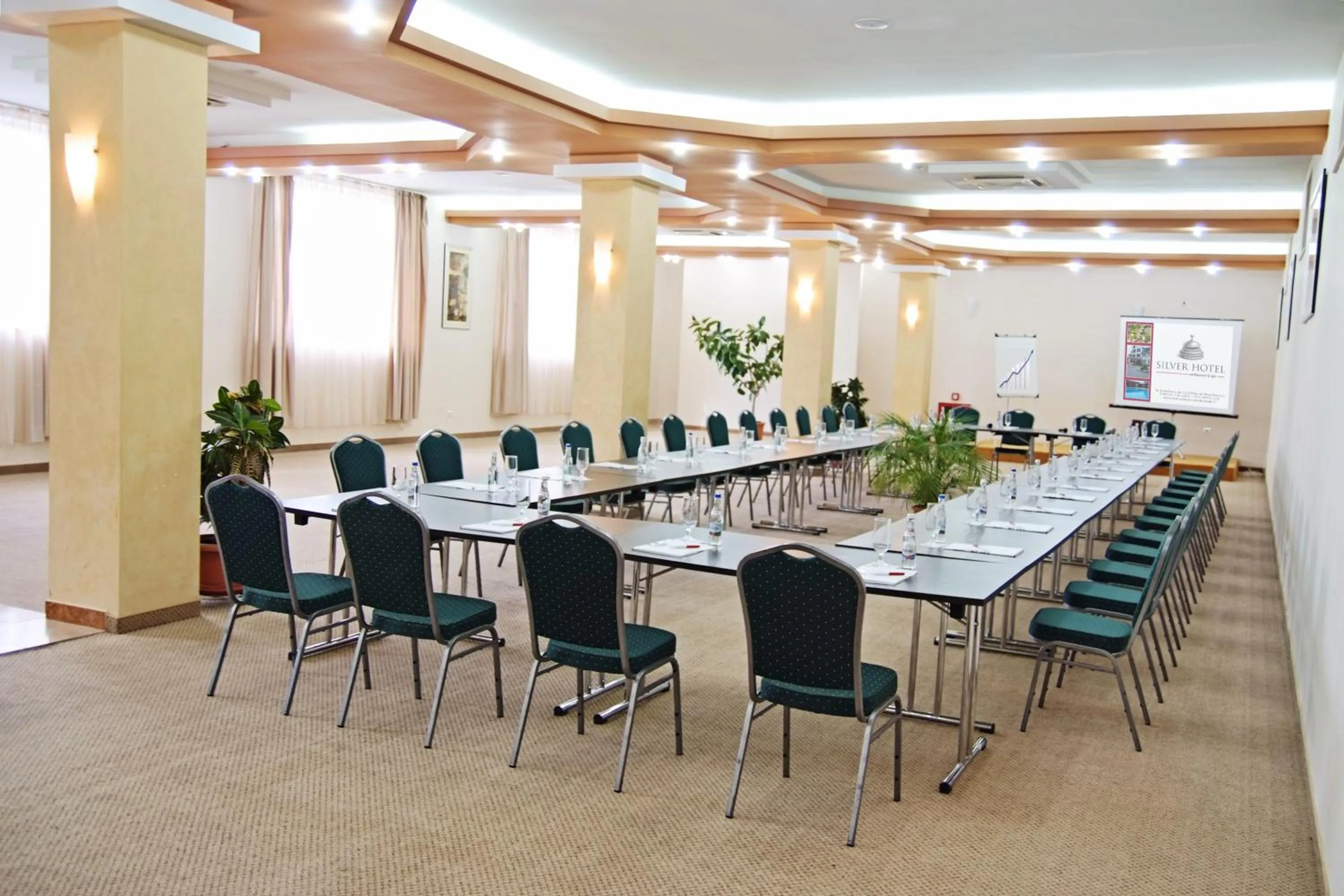 Business facilities in Silver Hotel