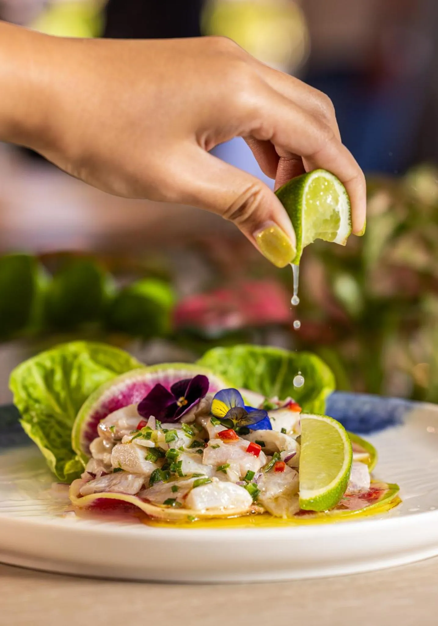 Restaurant/places to eat in Novotel Darwin Airport