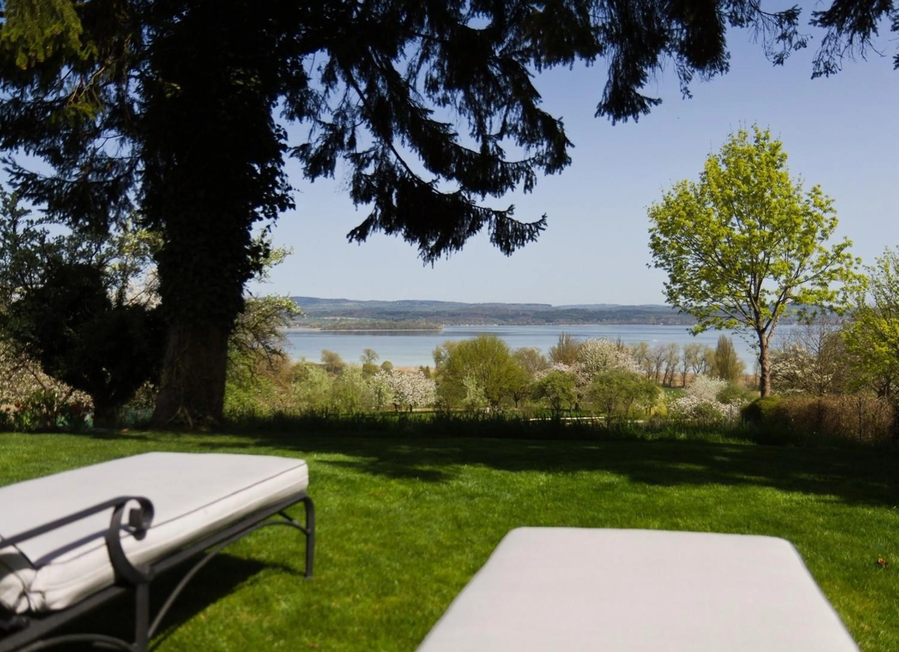 Garden in Hotel Hirschen Horn