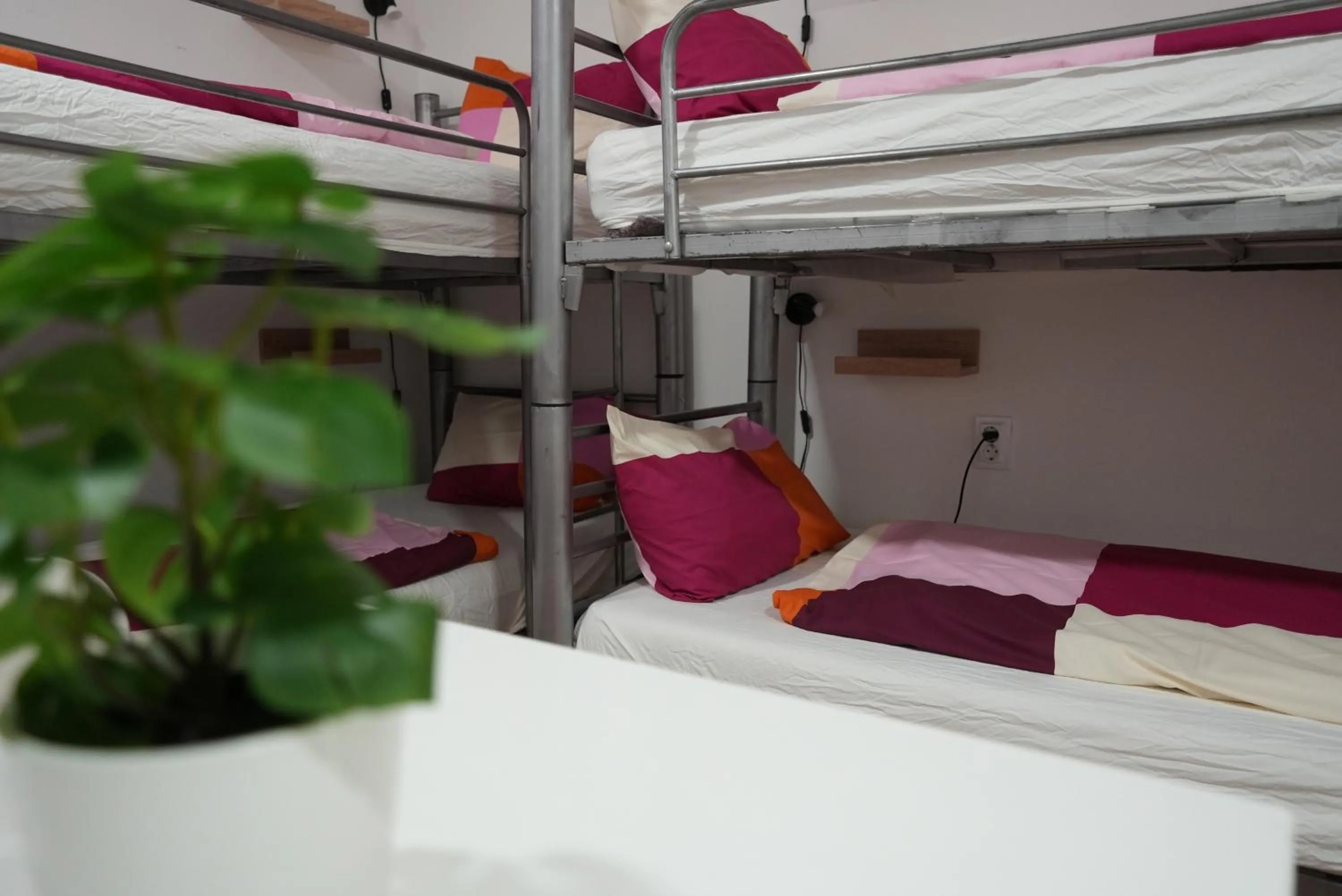 Photo of the whole room, Bed in Center Hostel and Guest House