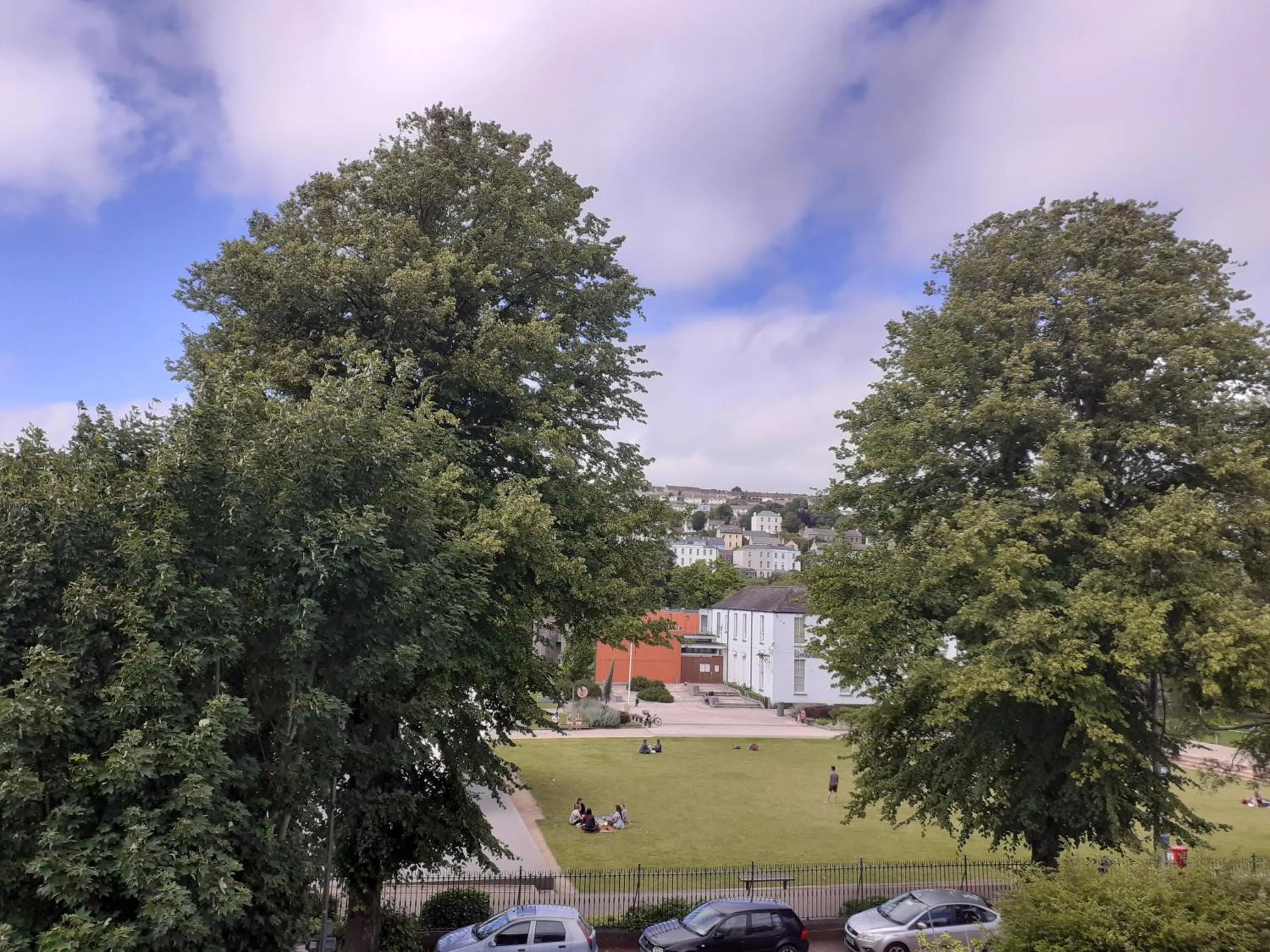Garden view in Redclyffe Guesthouse