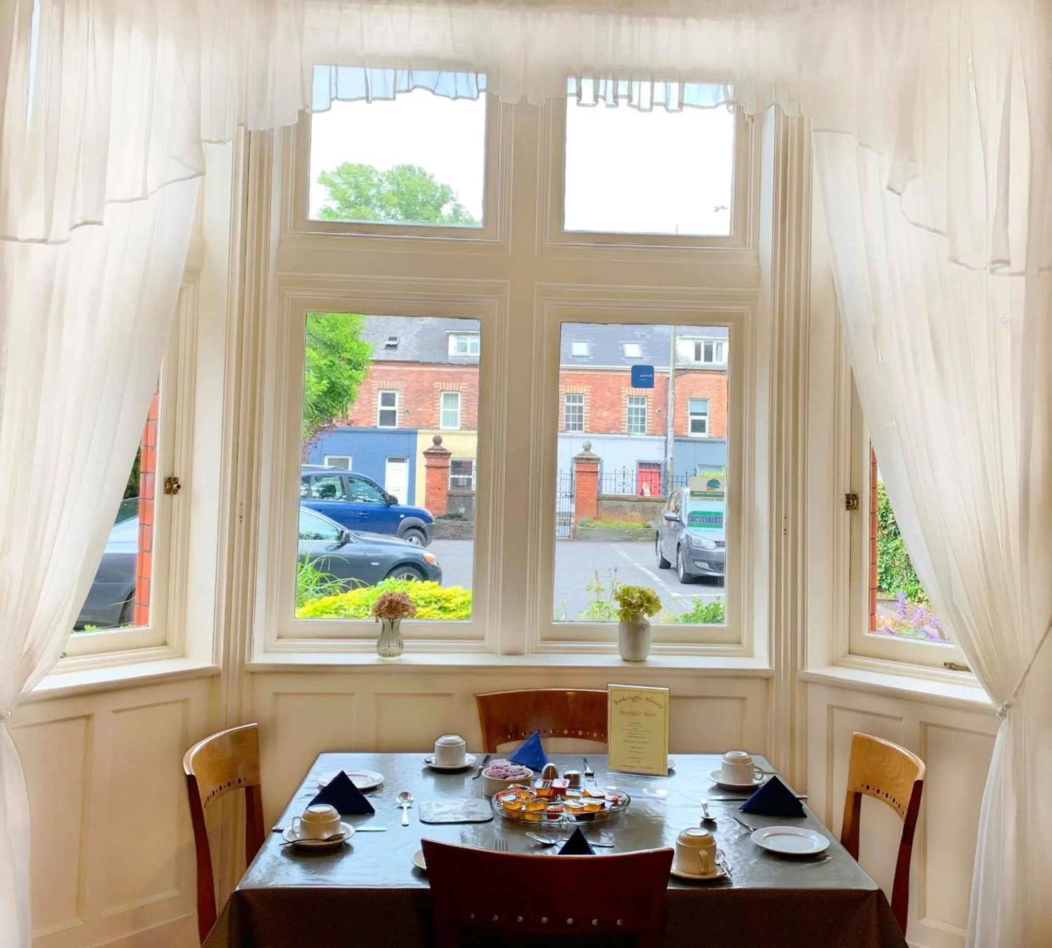 Garden in Redclyffe Guesthouse