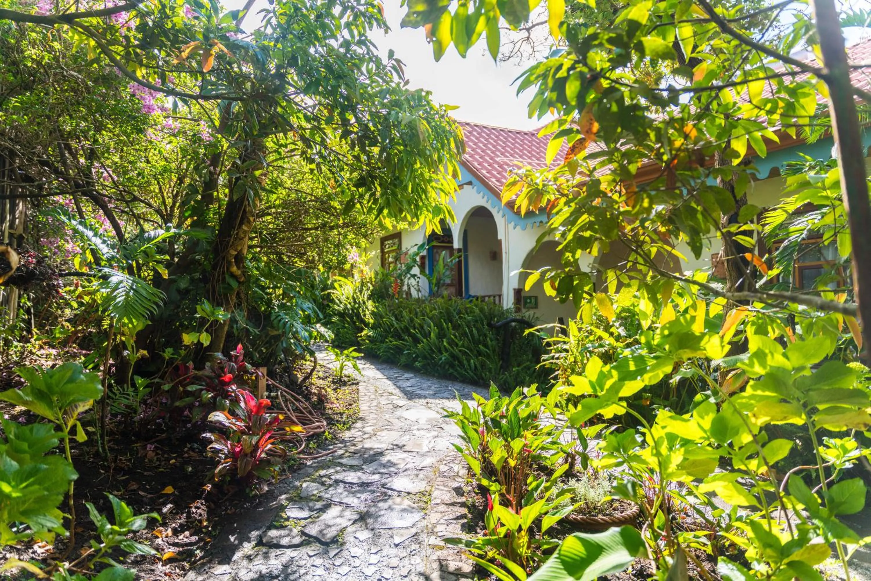 Garden in Hotel Claro de Luna