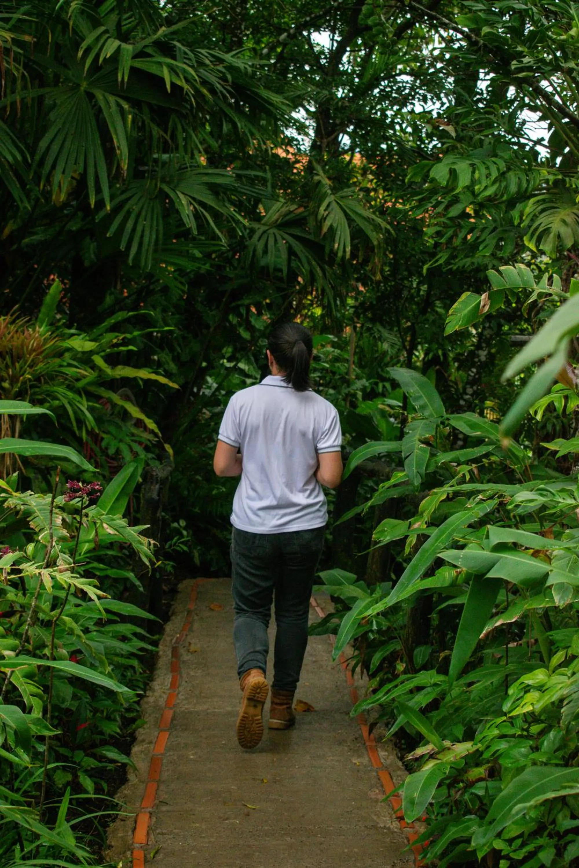Garden in Hotel Claro de Luna