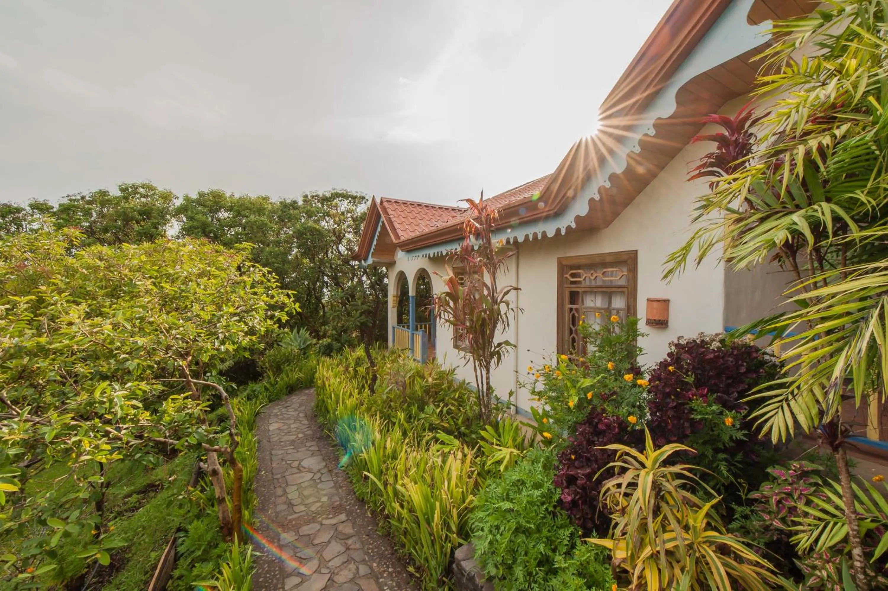 Natural landscape in Hotel Claro de Luna