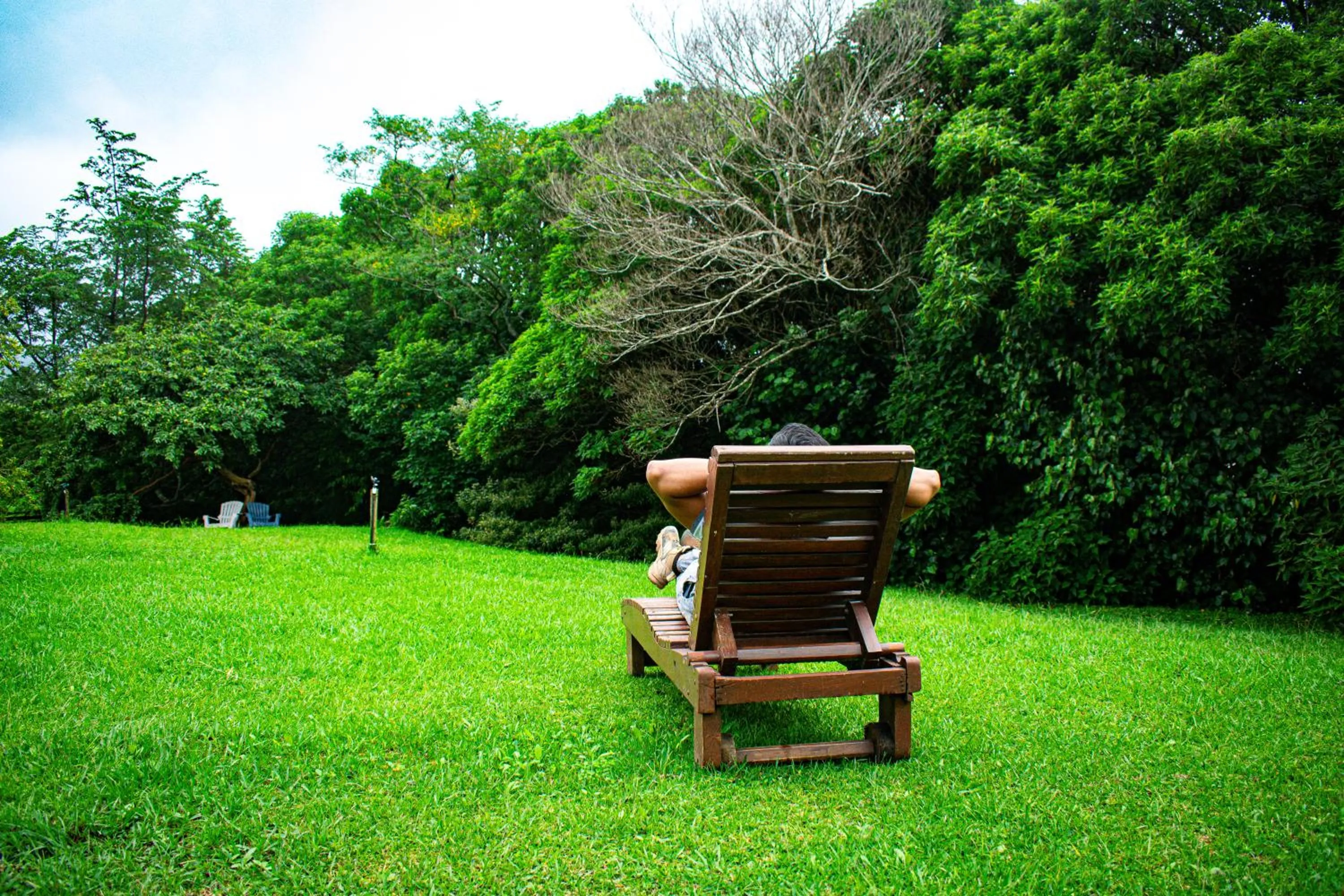 Natural landscape in Hotel Claro de Luna