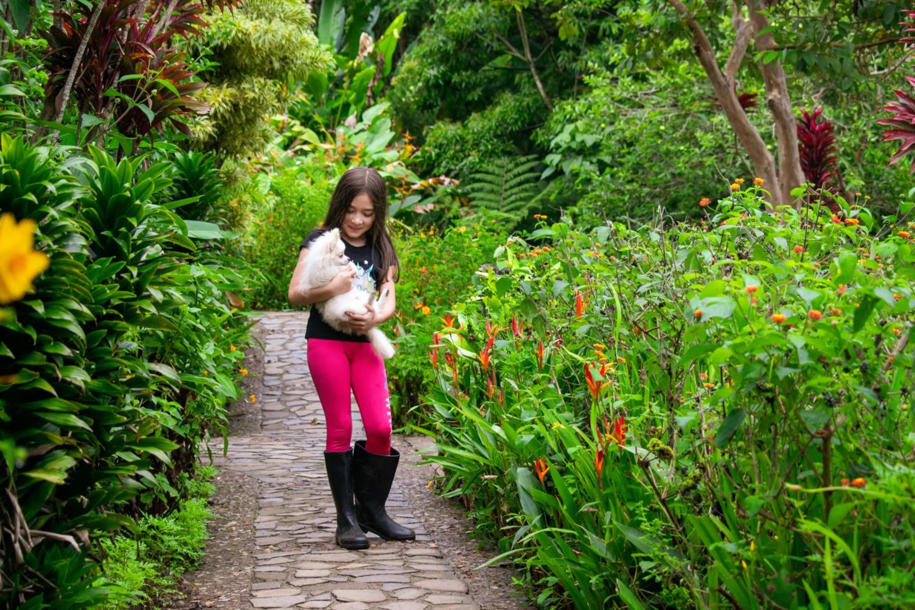 Garden in Hotel Claro de Luna
