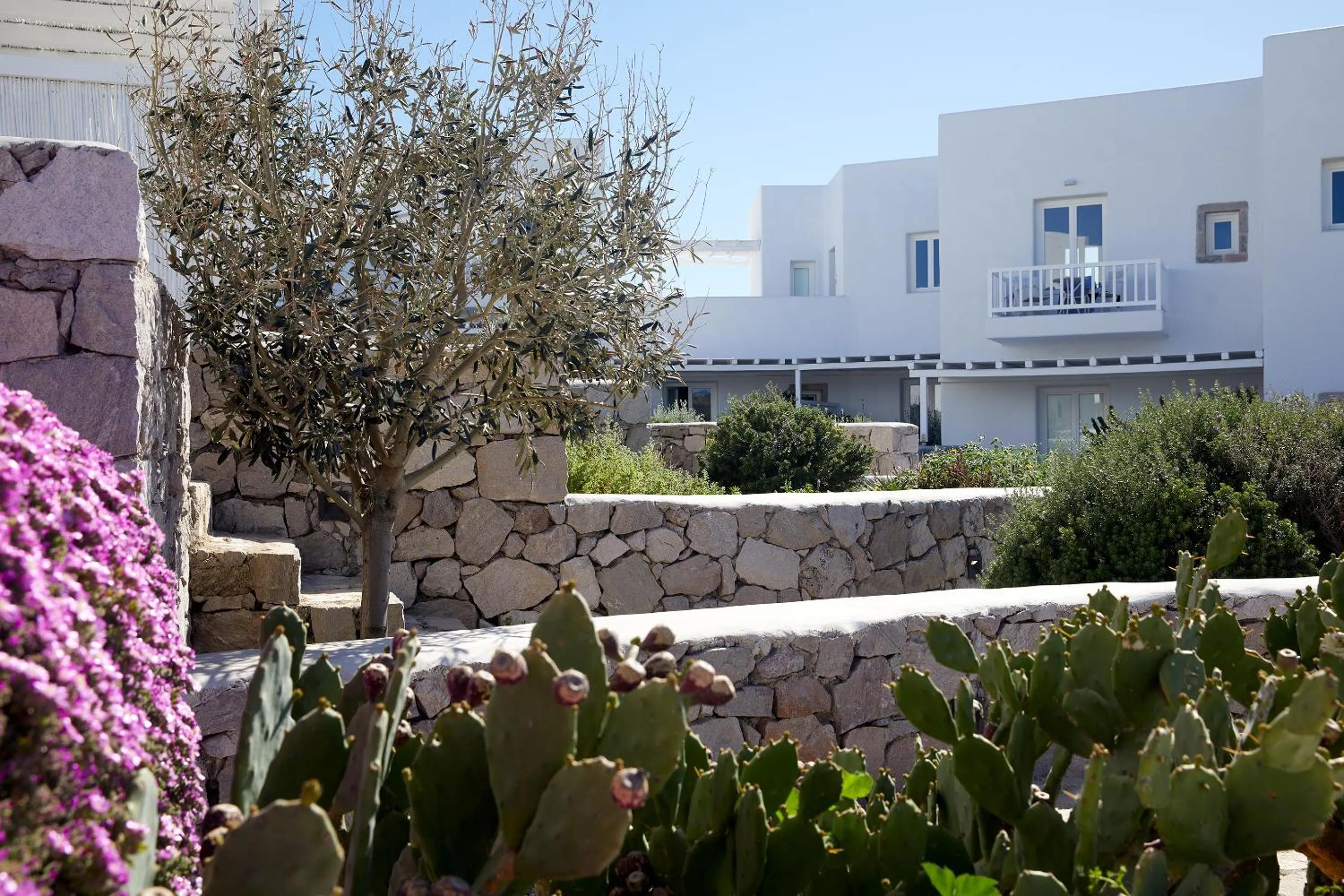 Garden in Milos Breeze Boutique Hotel