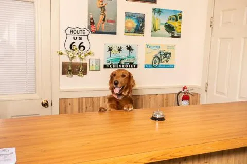 Lobby or reception in Steinhatchee River Inn and Marina