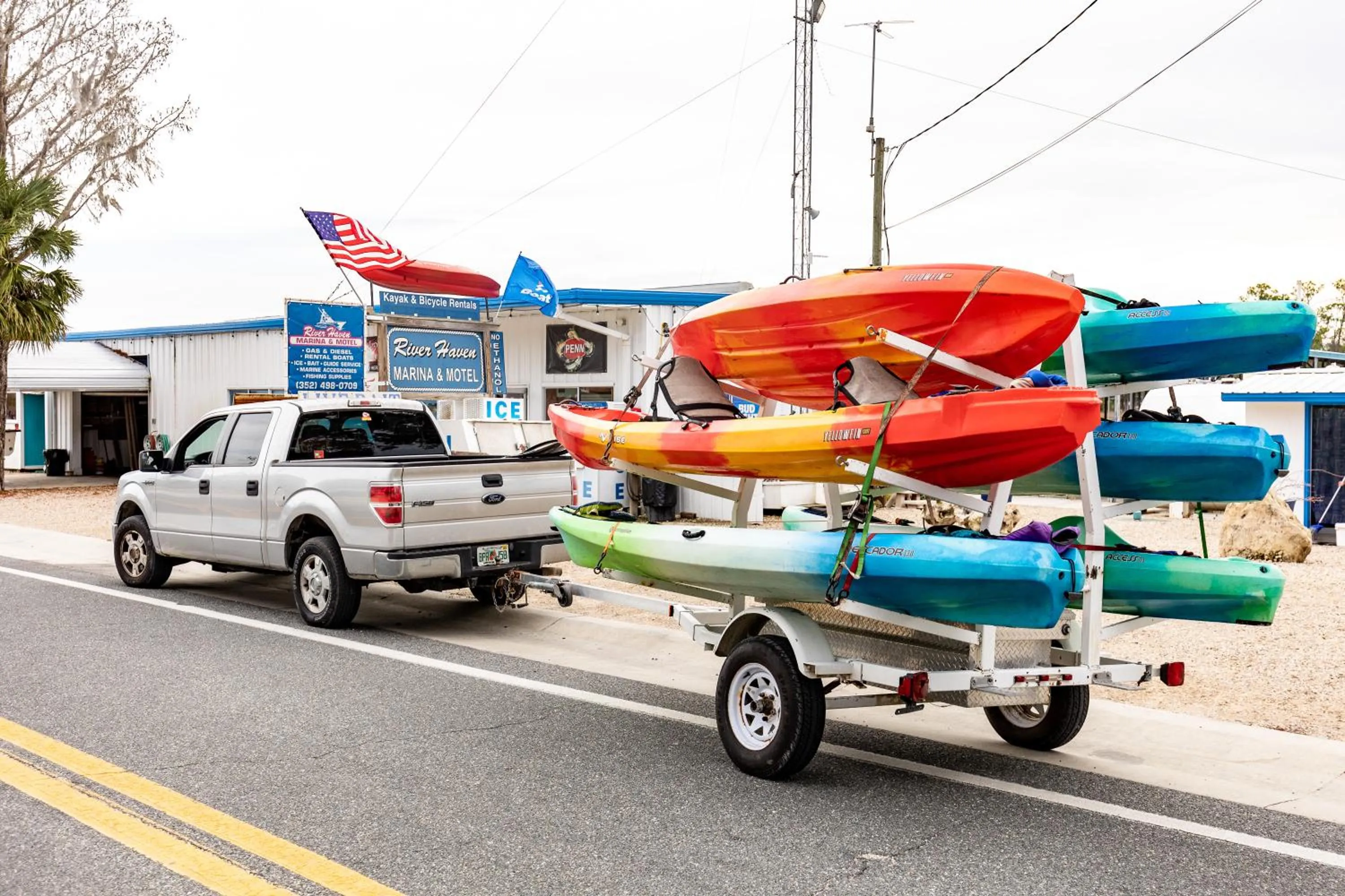 Activities in Steinhatchee River Inn and Marina