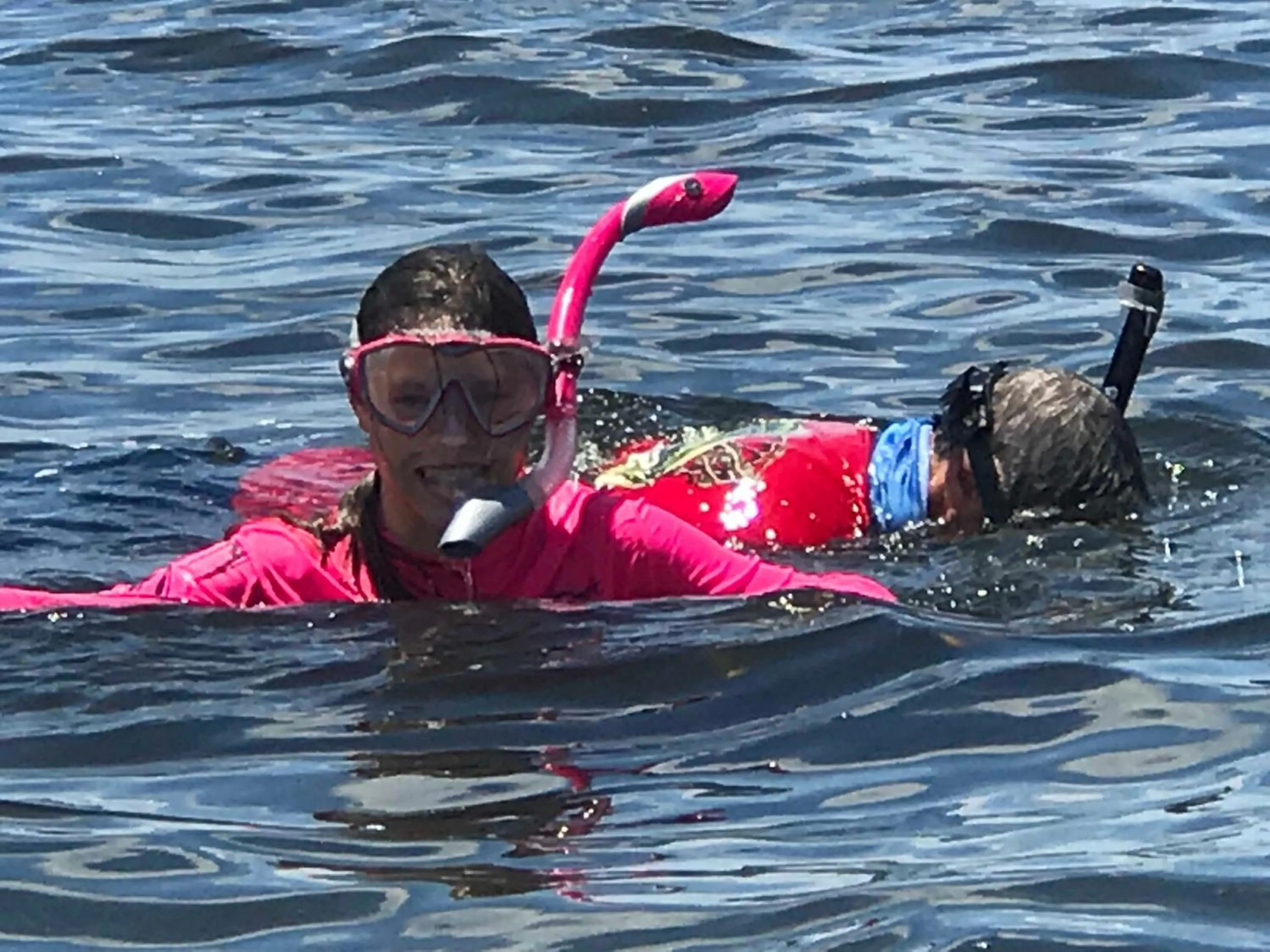 Snorkeling in Steinhatchee River Inn and Marina