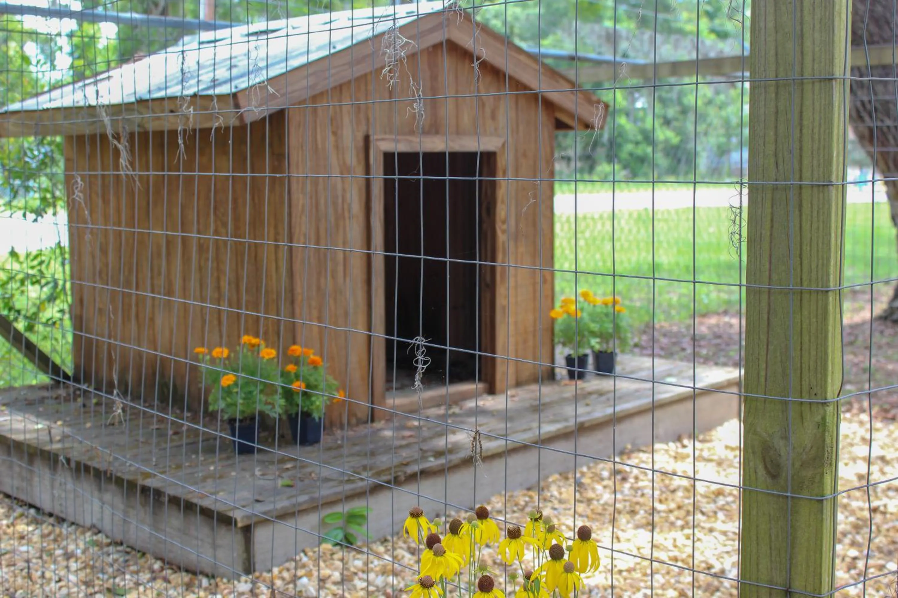 Pets in Steinhatchee River Inn and Marina