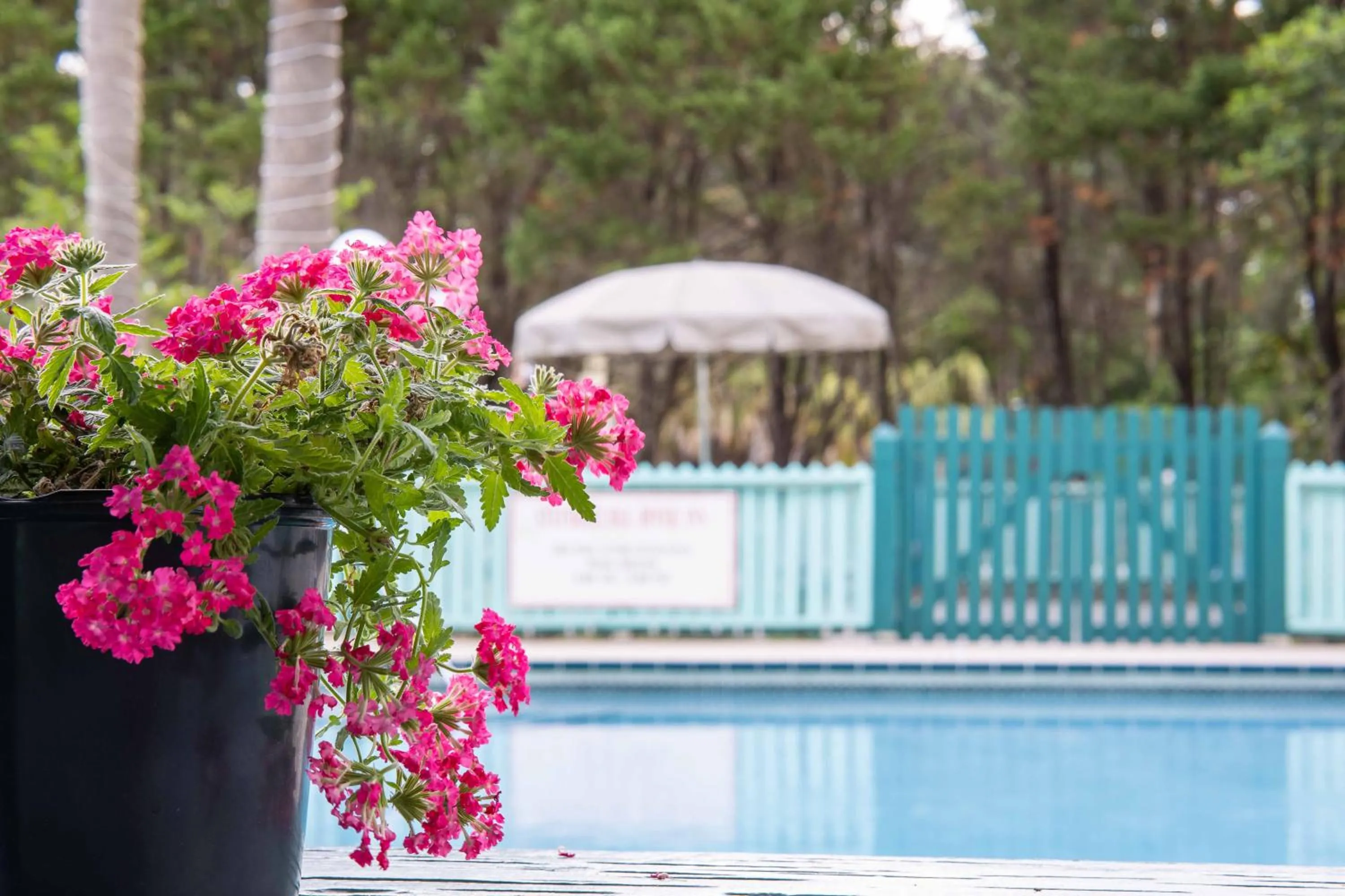 Steinhatchee River Inn and Marina