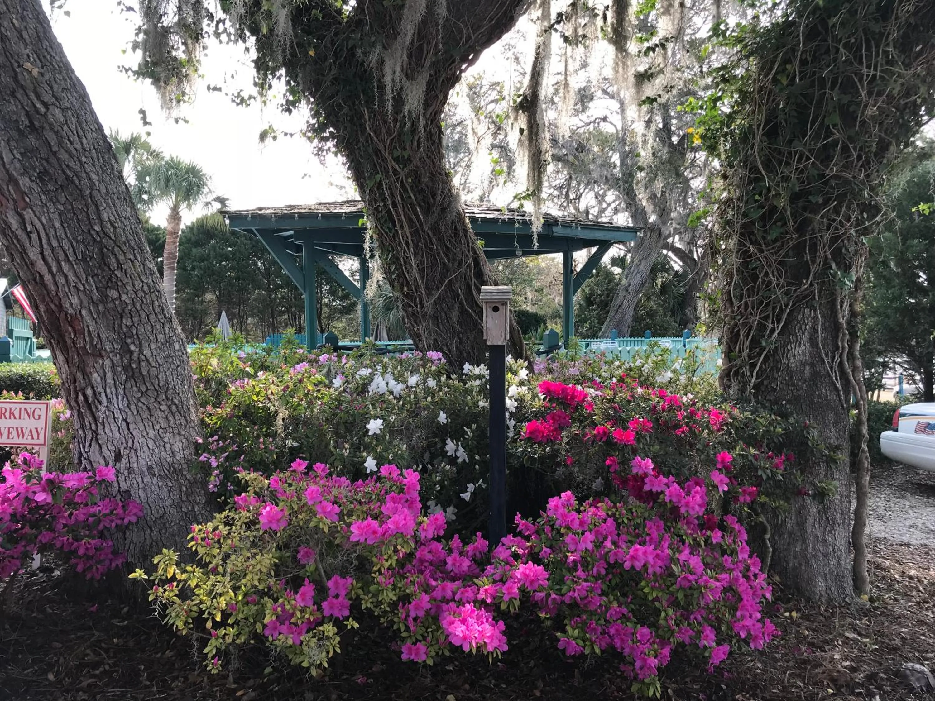 Natural landscape in Steinhatchee River Inn and Marina