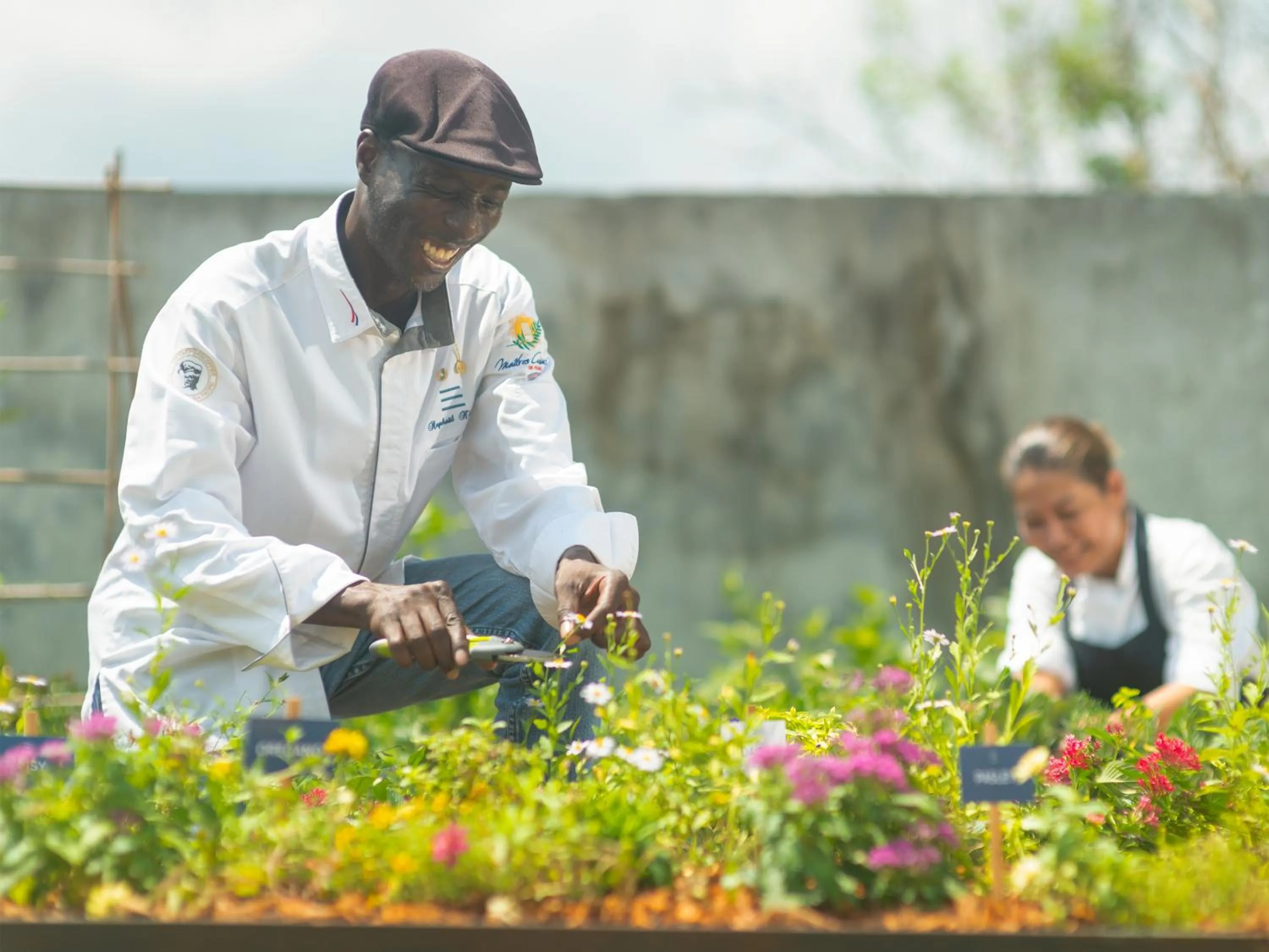 Garden in Explorar Koh Samui - Adults Only Resort and Spa