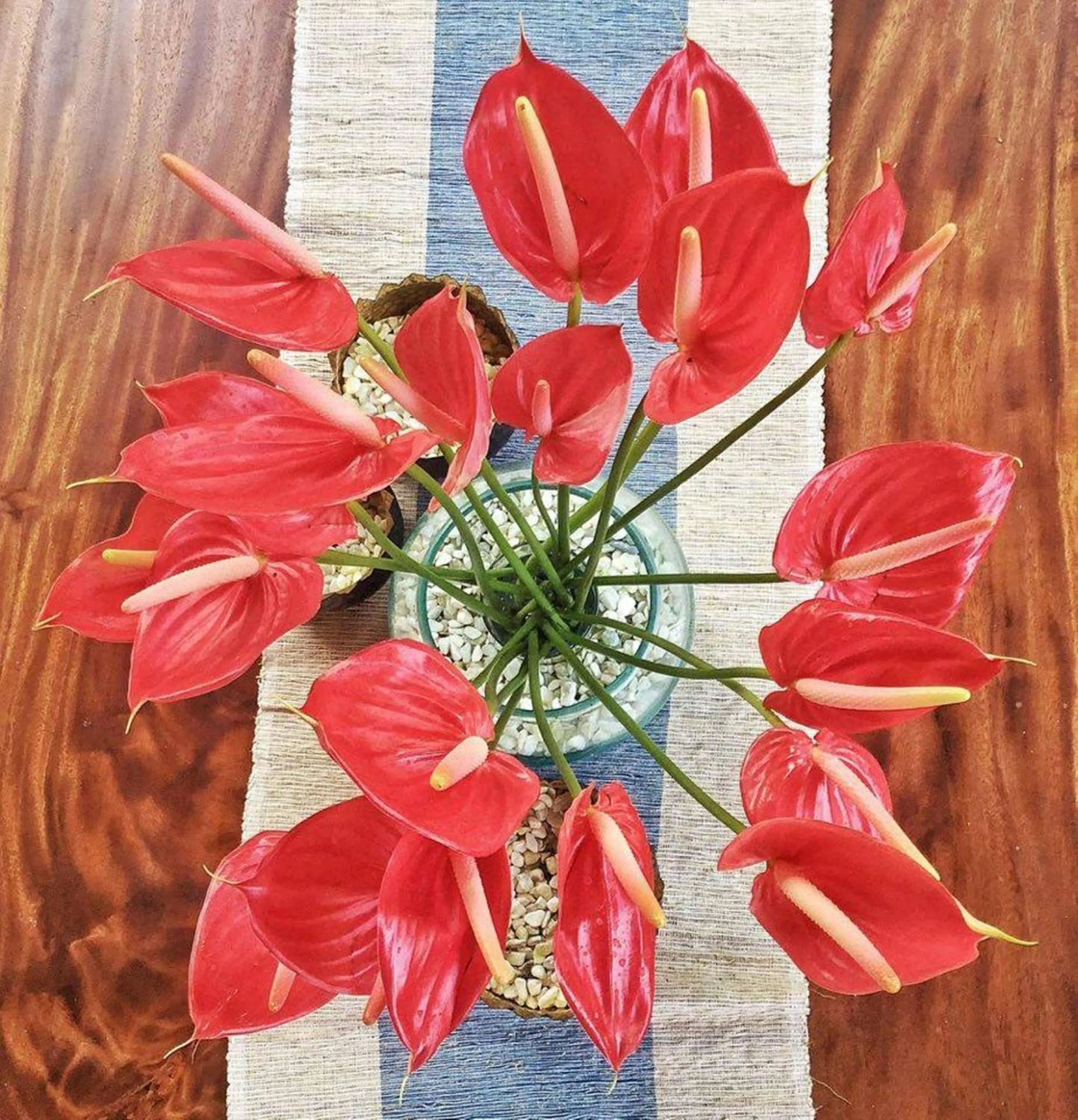 Decorative detail in The Tamantis Villa