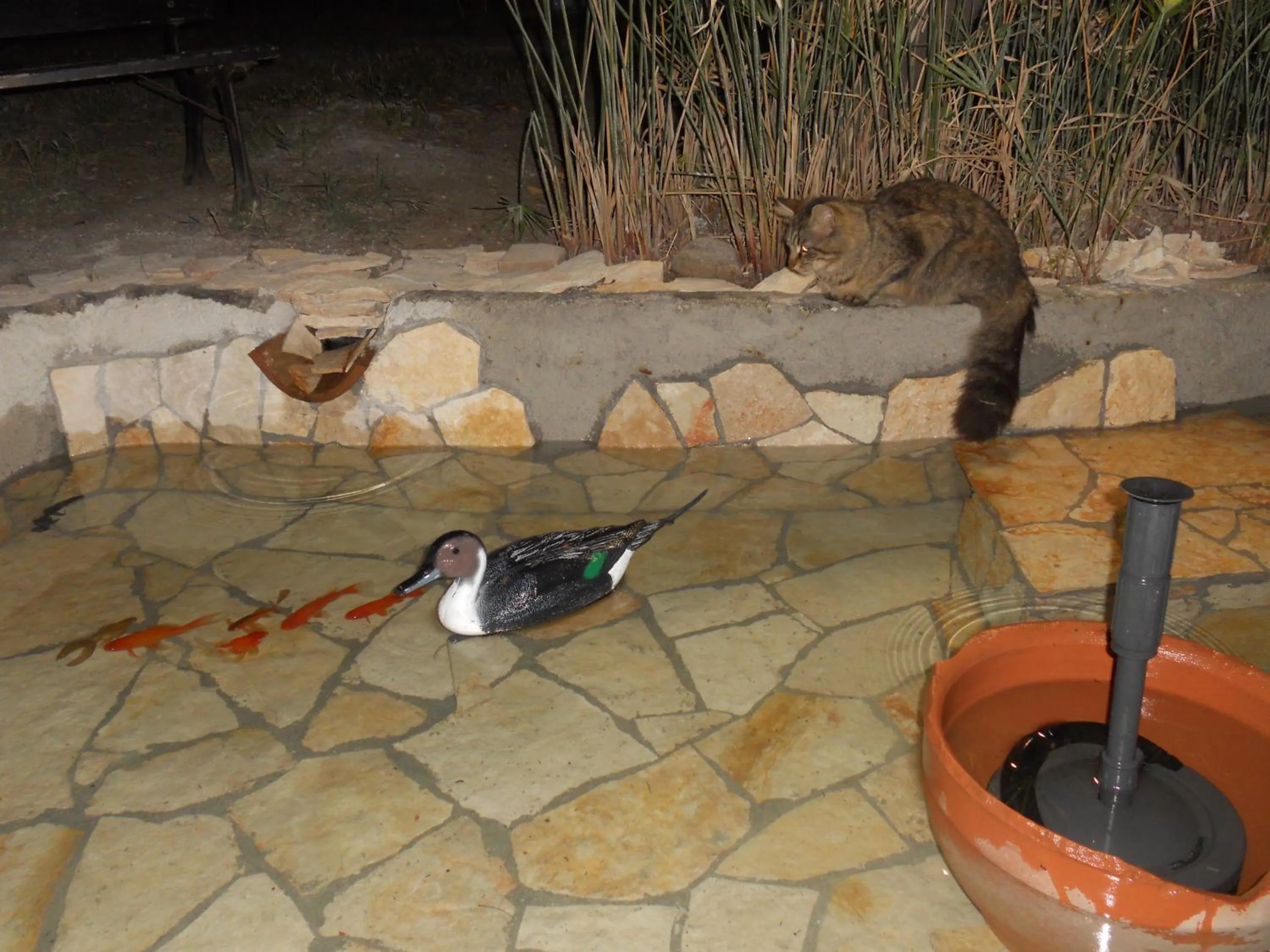 Garden in B&B Villa Rosa