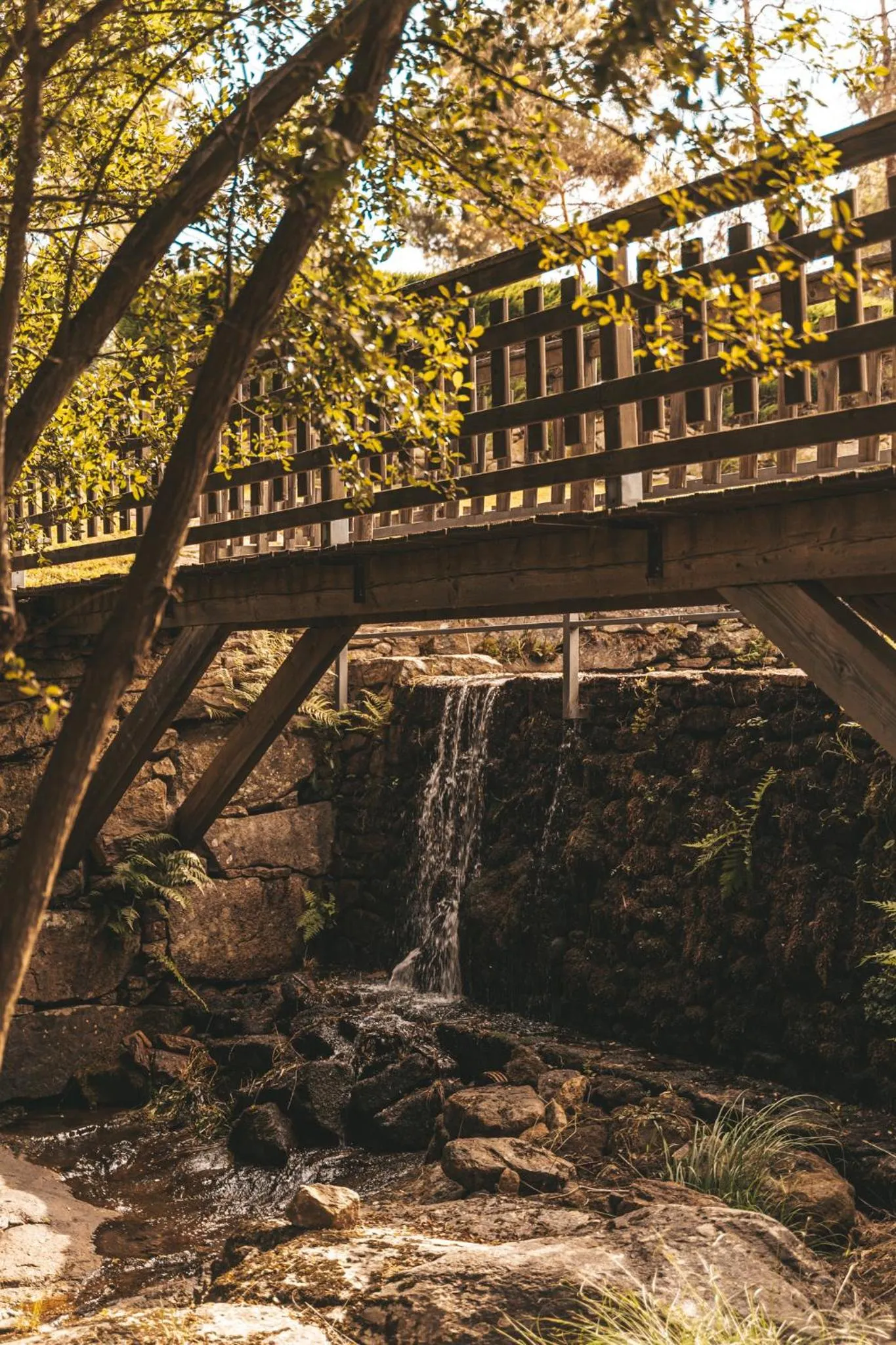 River view in Moinho d'Antoninha