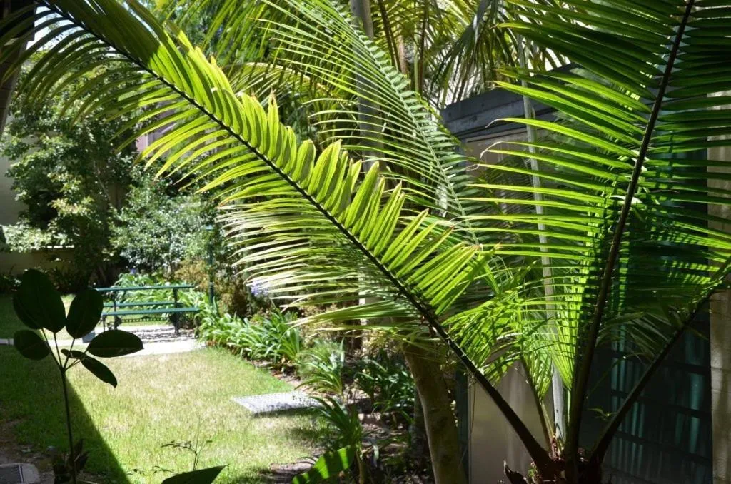 Garden in Avonmore On The Park Boutique Hotel