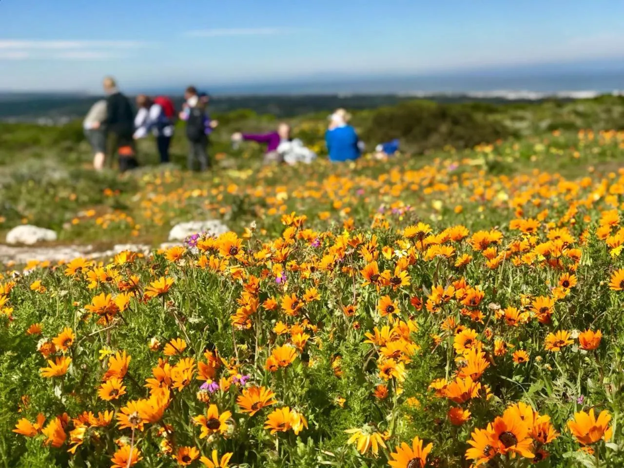 Nearby landmark in Rooisee