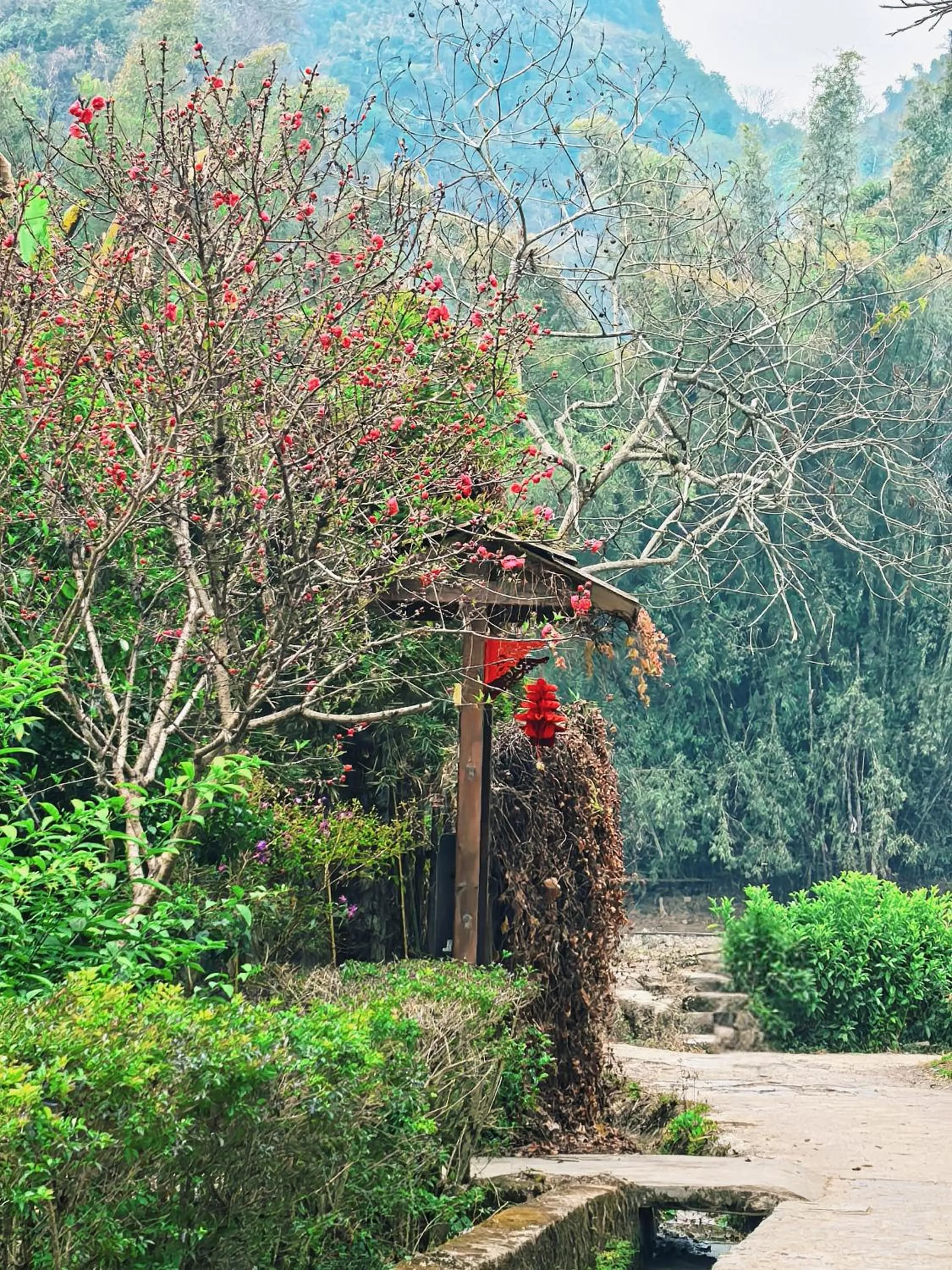 Other in Yangshuo The Apsara Lodge