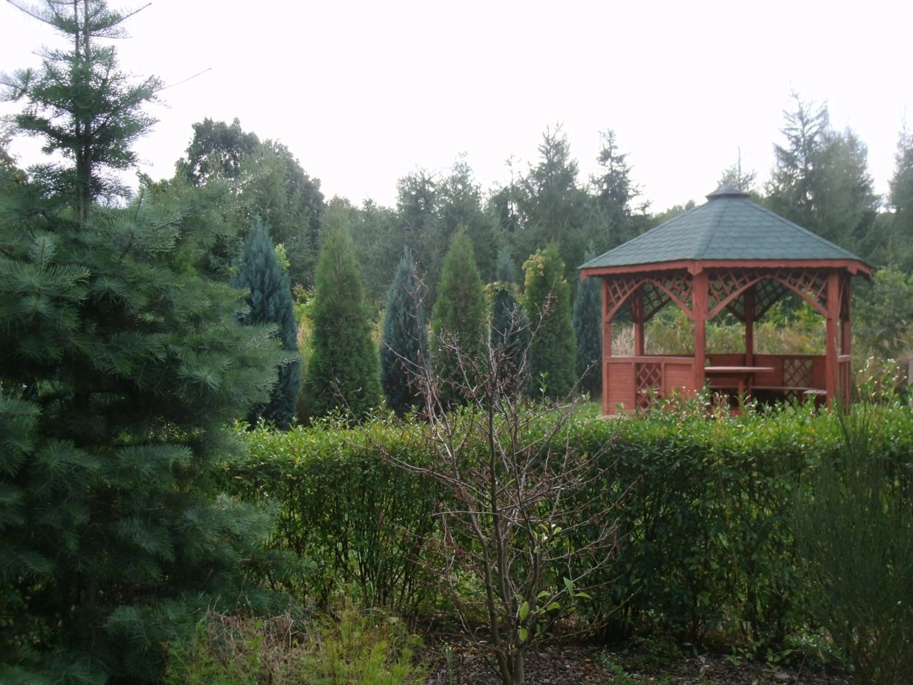 Garden in W Starym Ogrodnictwie