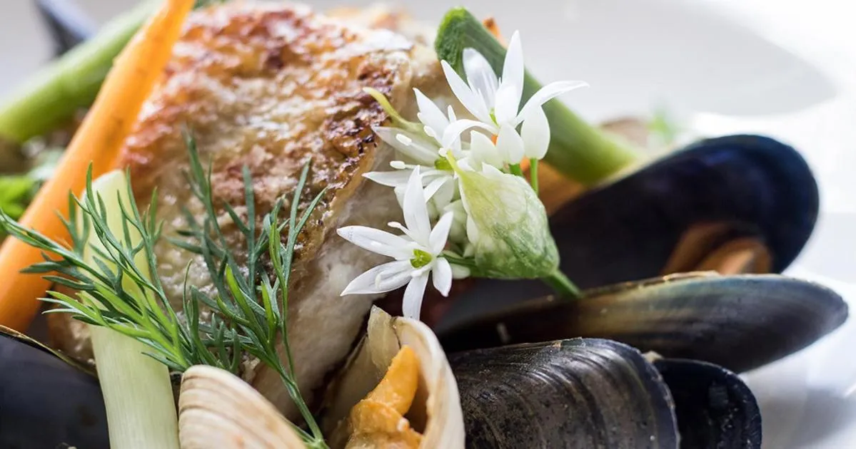 Food in Loch Melfort Hotel