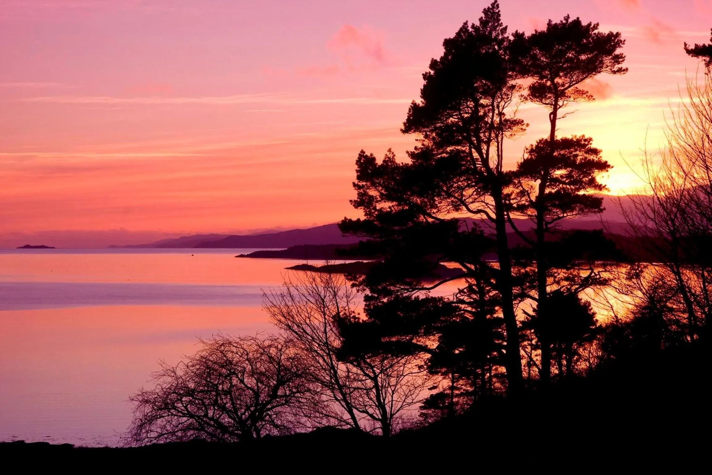 Natural landscape in Loch Melfort Hotel