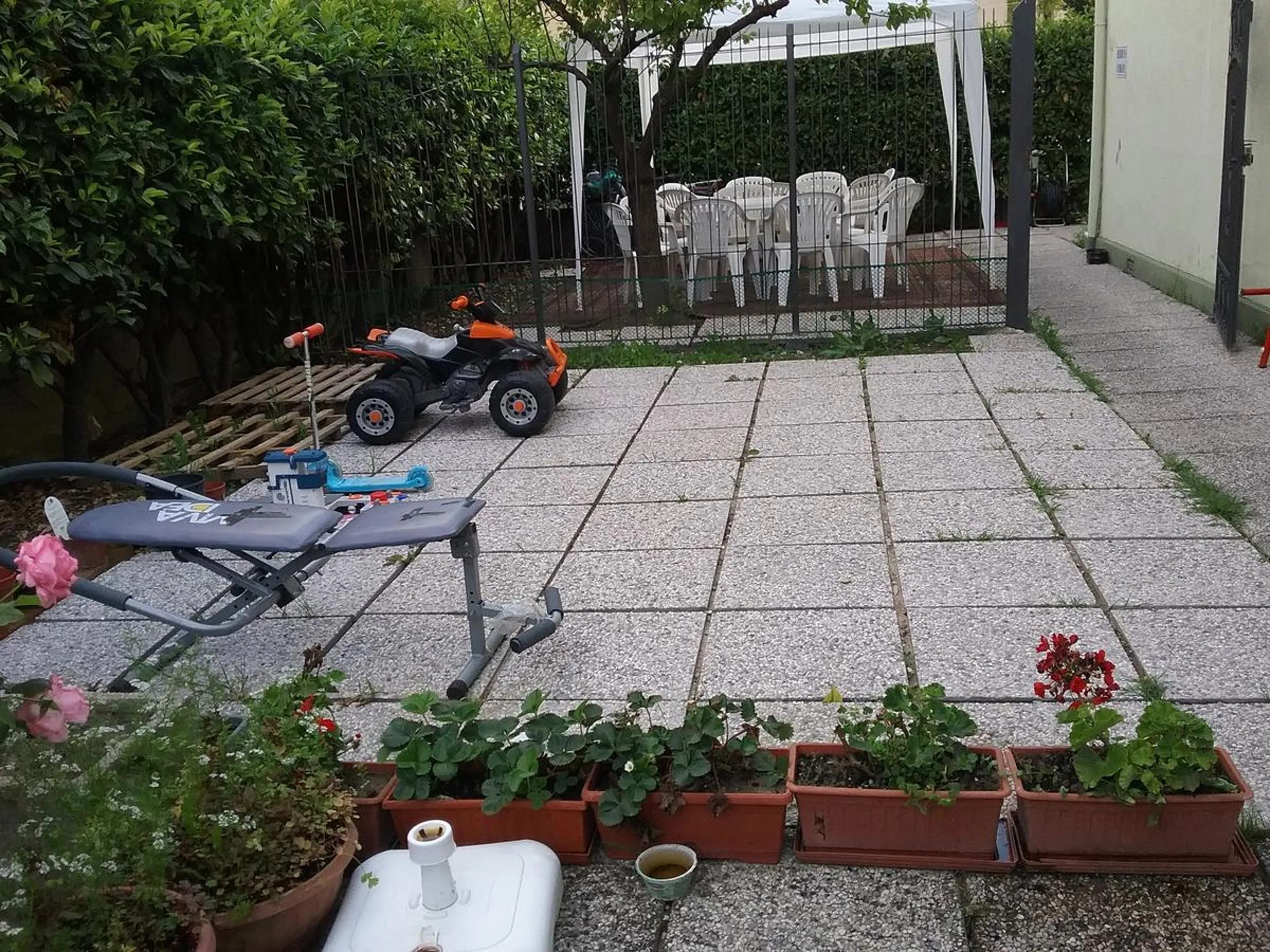 View (from property/room) in Ever Green