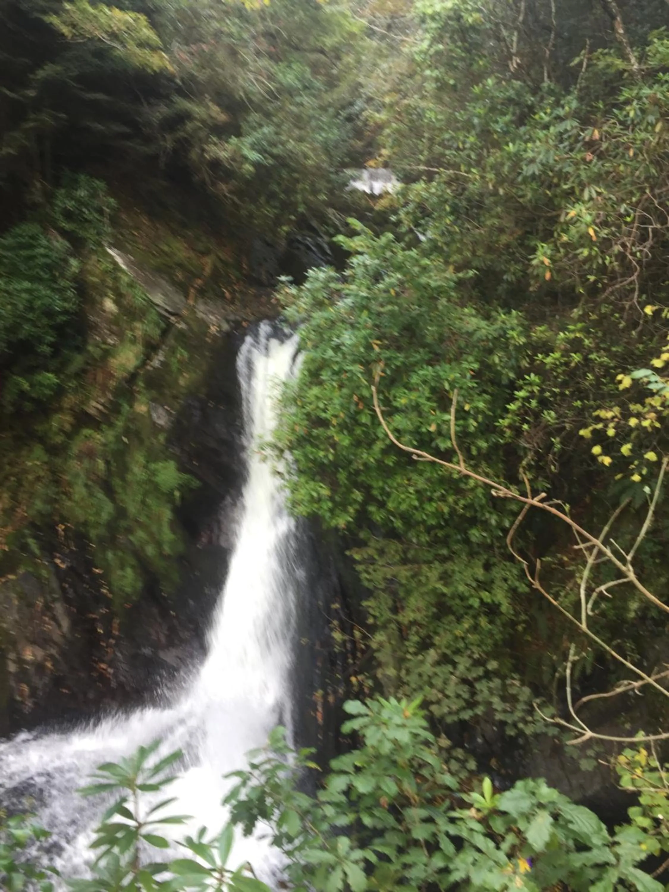 Activities in Bryn Derwen