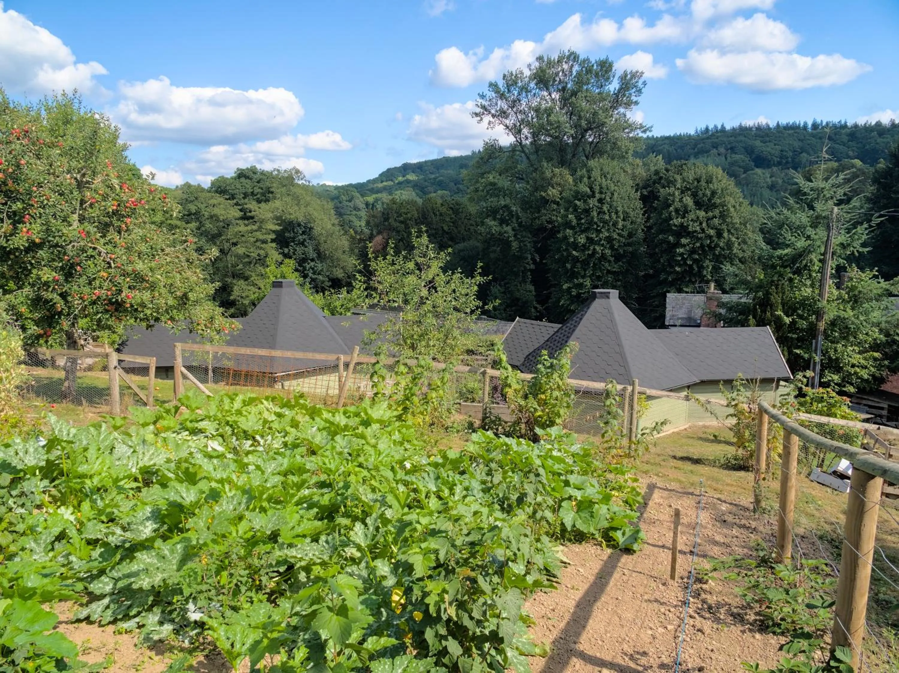 Garden view in Riverside Inn, Aymestrey