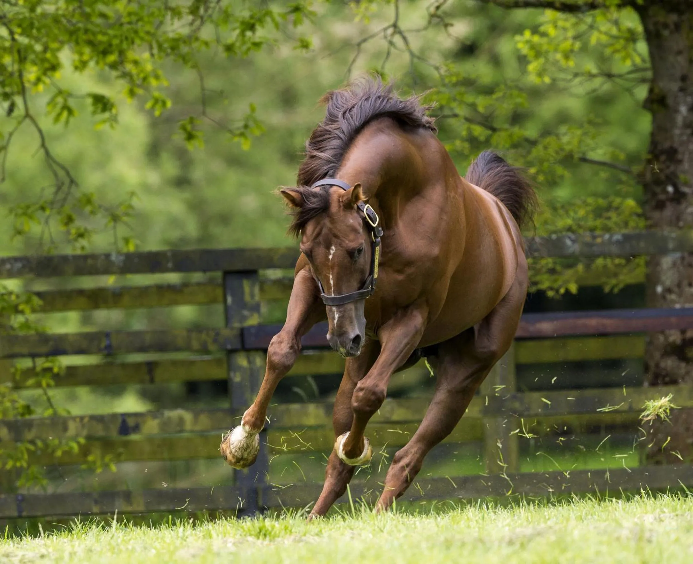 Nearby landmark in Silken Thomas Accommodation