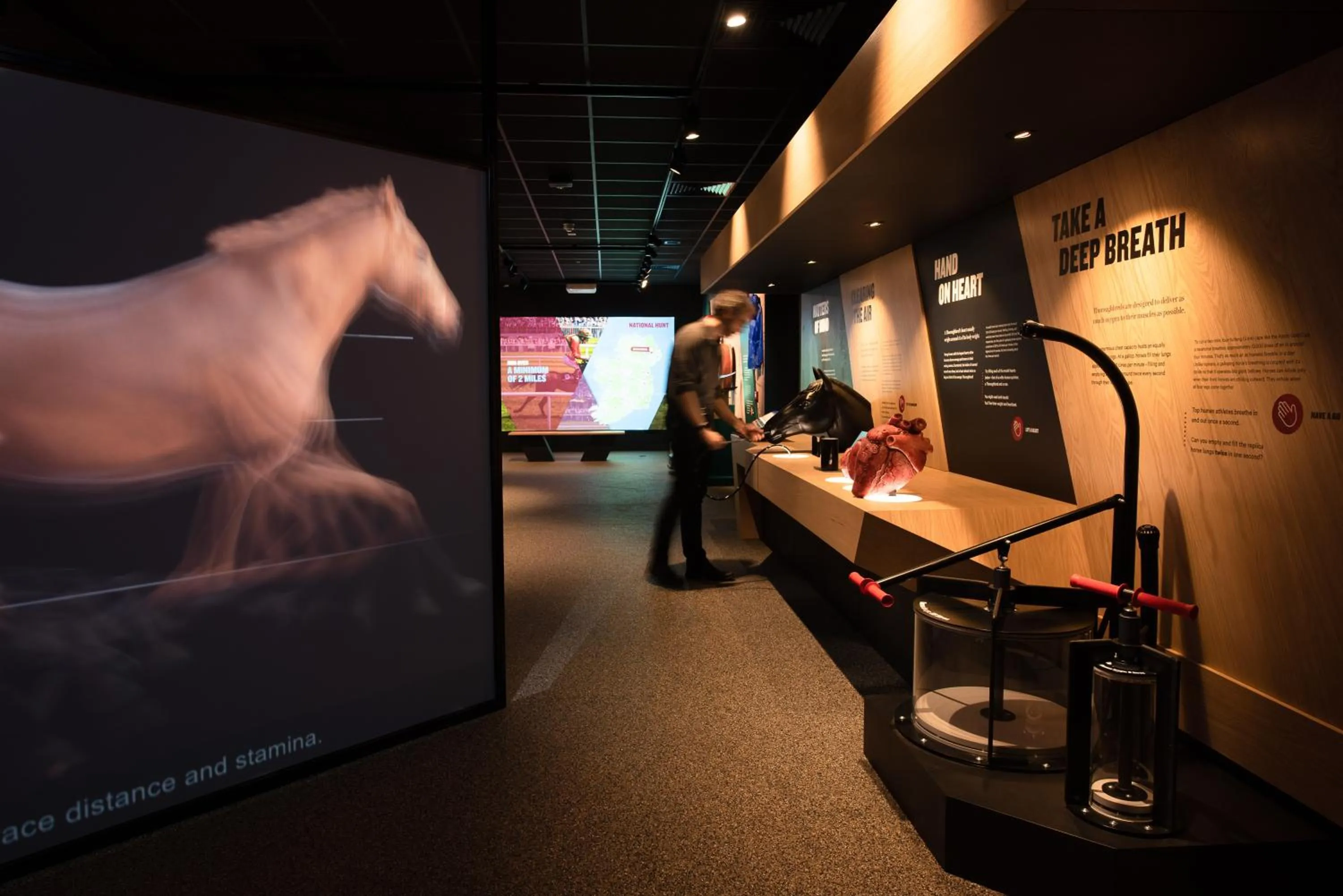 Nearby landmark in Silken Thomas Accommodation