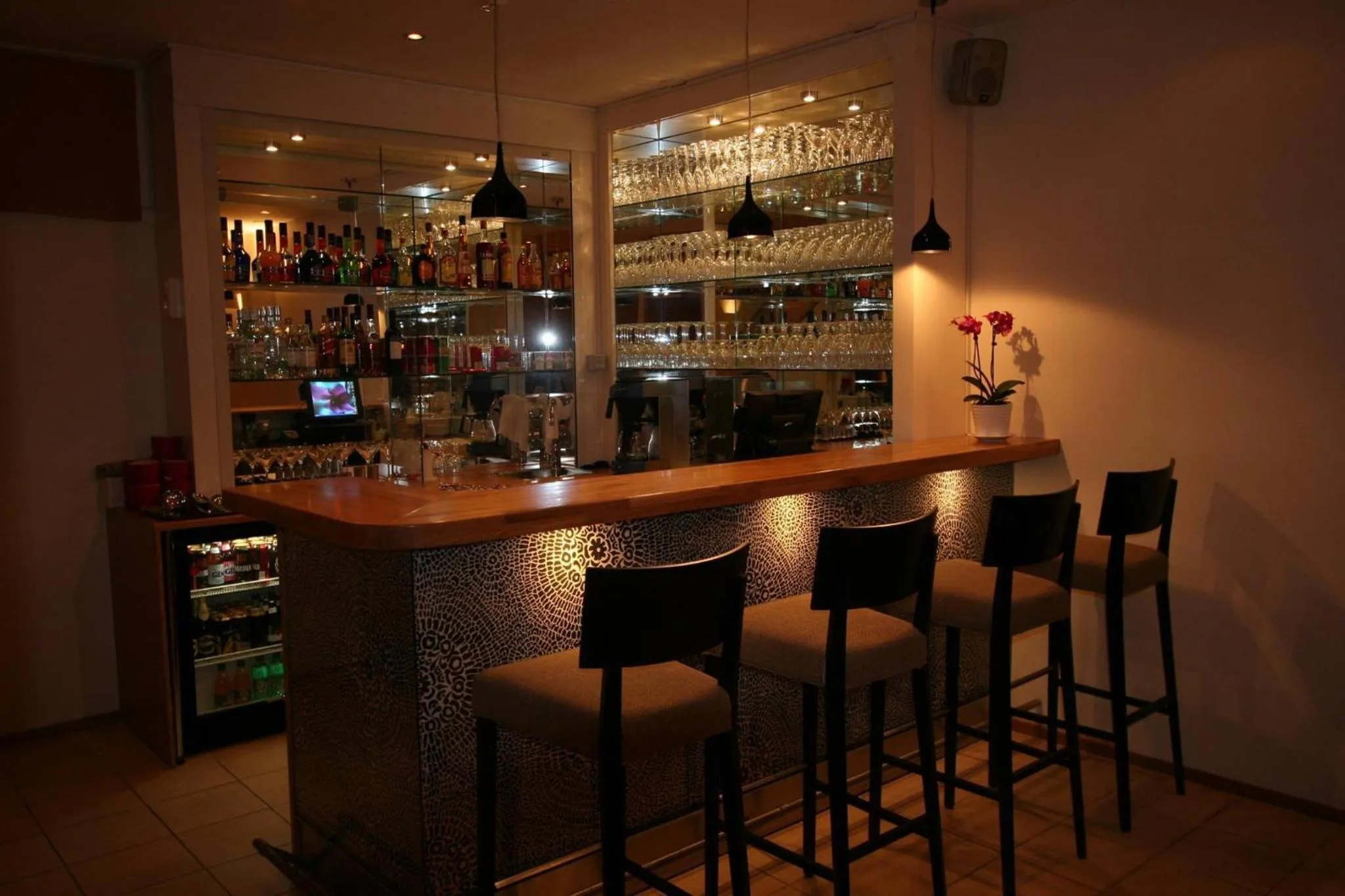 Lounge or bar in Hotel Homeland