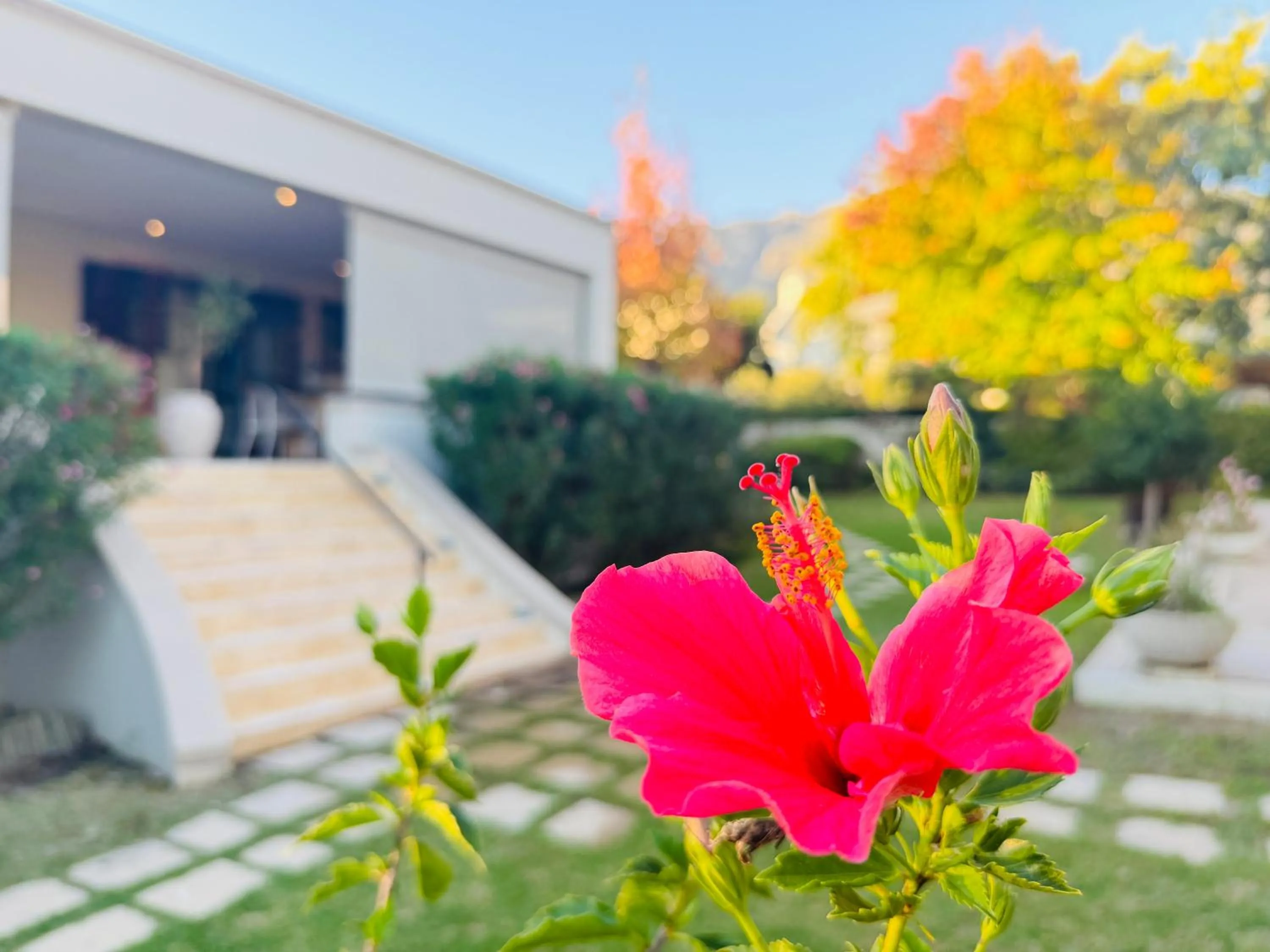 Garden in Residence Vive la Vie