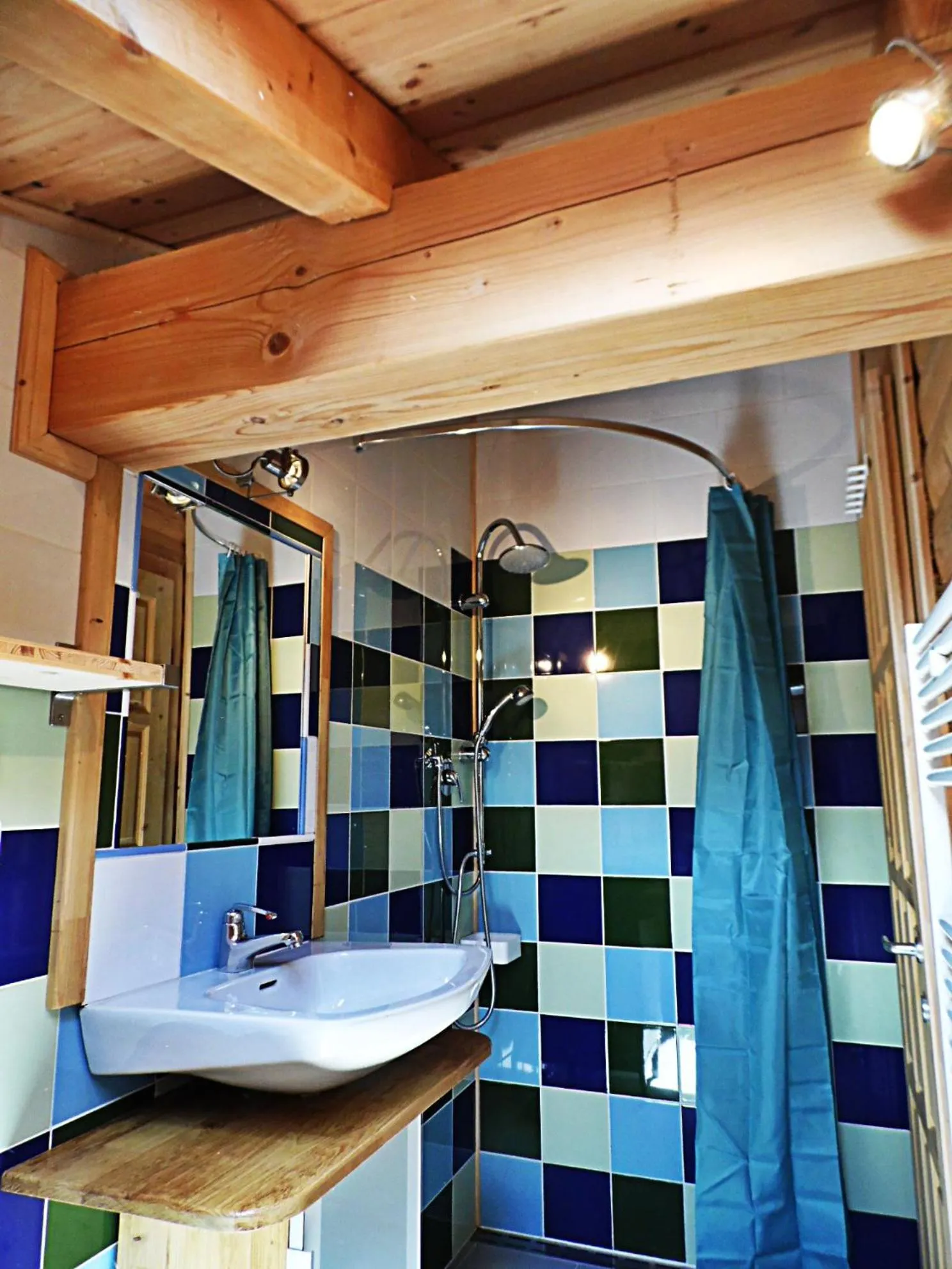 Shower in B&B Mappamundi