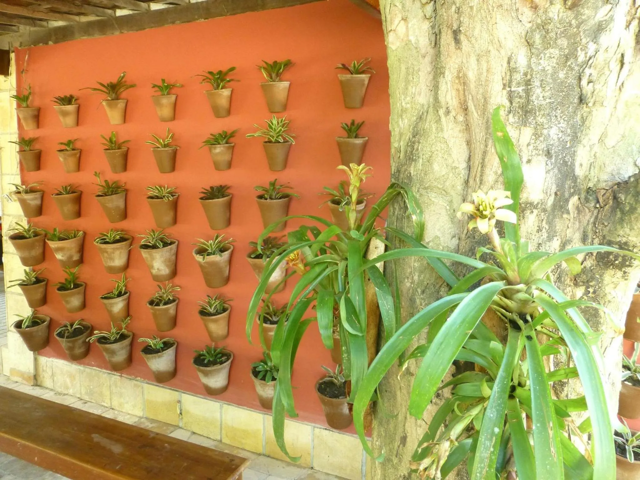 Day in Pousada das Bromélias