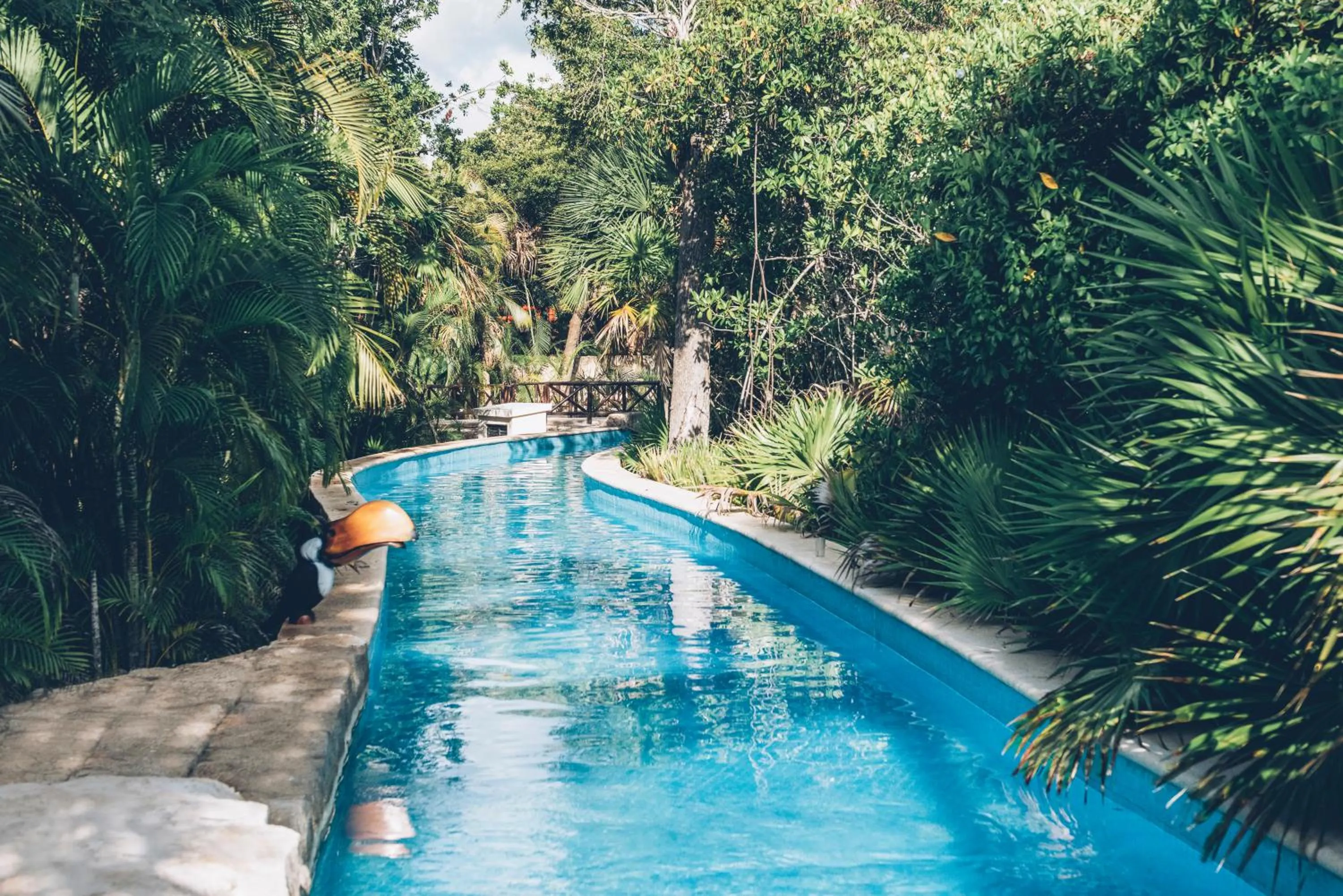 Pool view in Iberostar Selection Paraíso Maya - All Inclusive