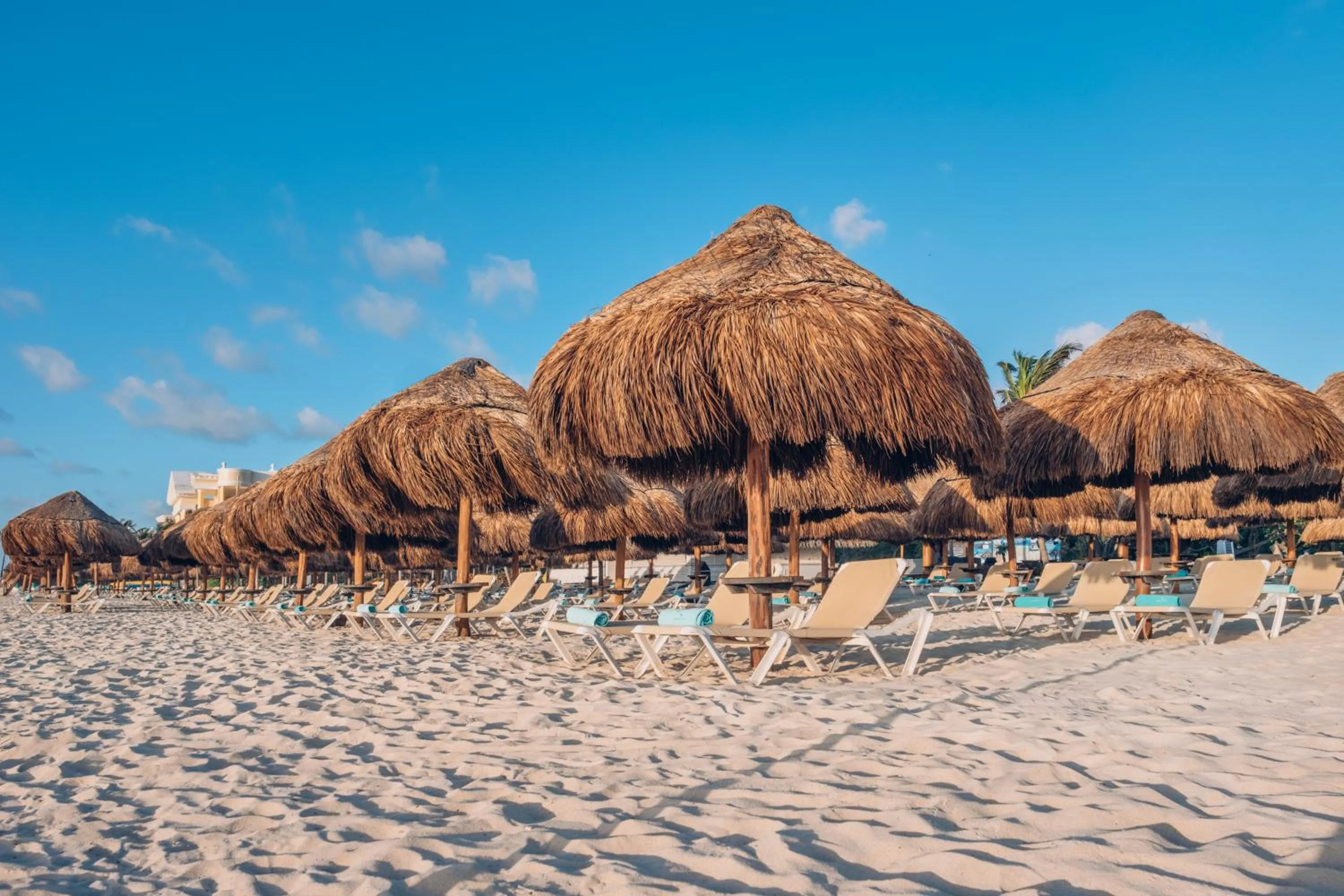 Day in Iberostar Selection Paraíso Lindo - All Inclusive