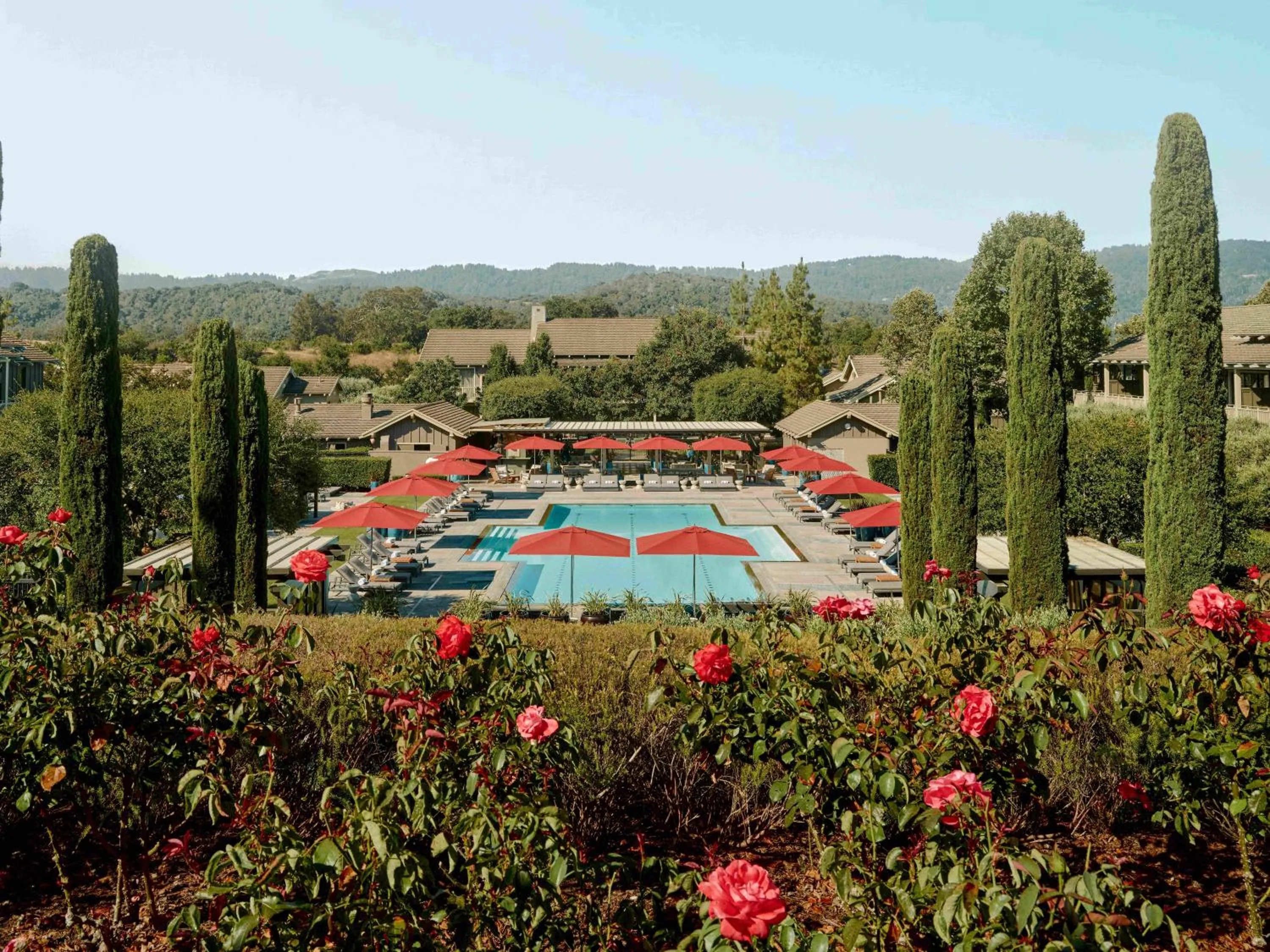 Spring in Rosewood Sand Hill