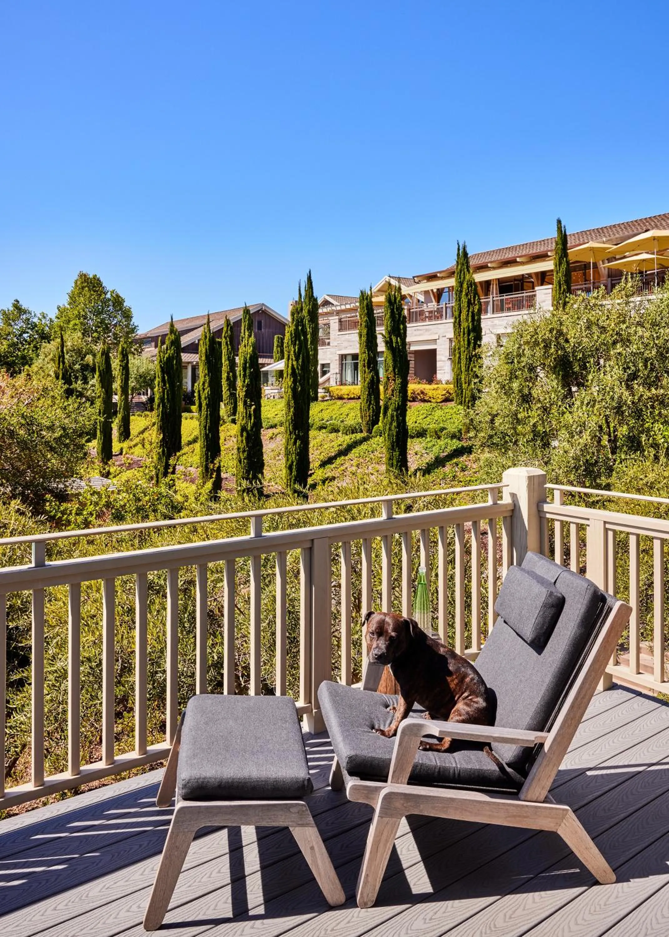 View (from property/room) in Rosewood Sand Hill