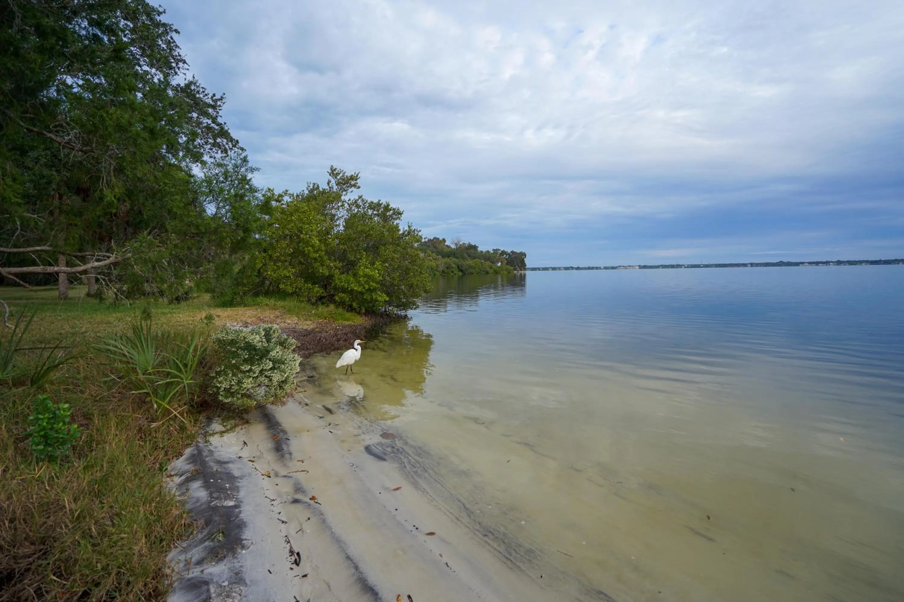 Natural landscape in Mar Bay Exclusive Suites