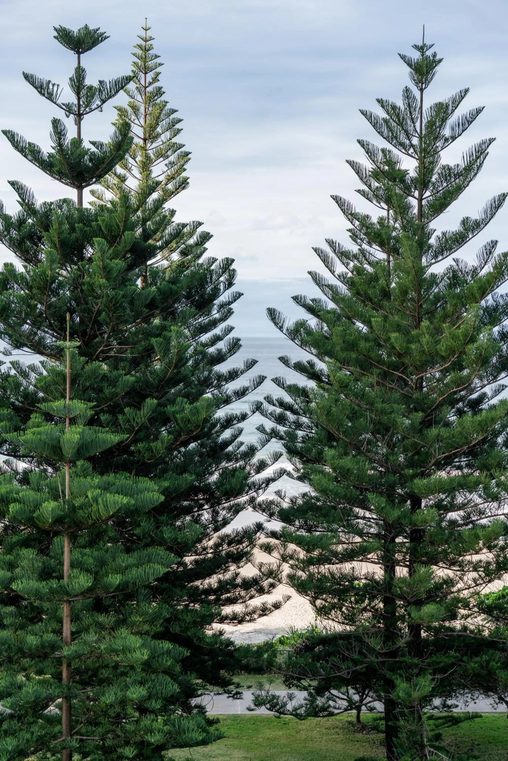 Natural landscape in Cashelmara Beachfront Apartments