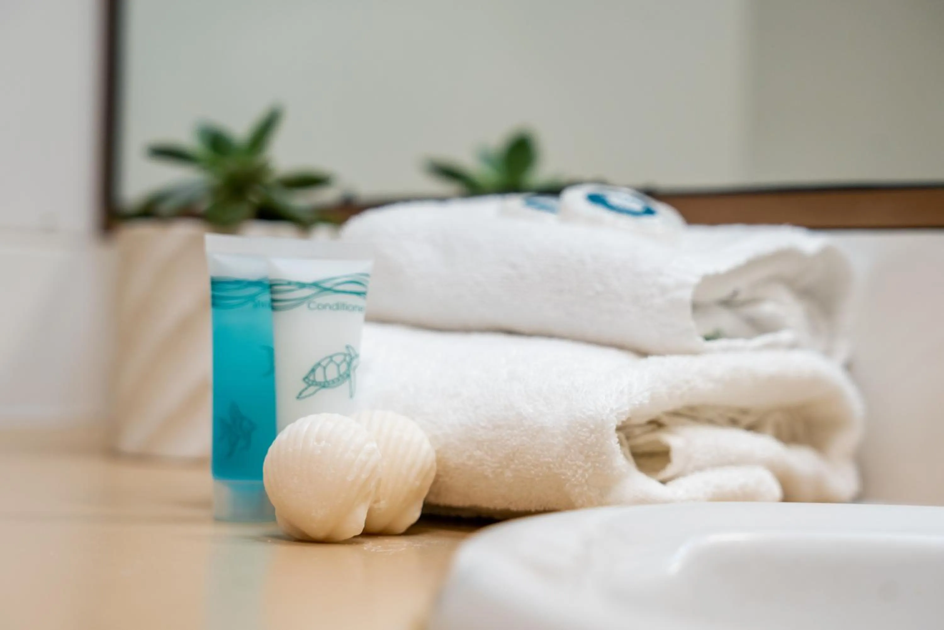 Bathroom in Cashelmara Beachfront Apartments
