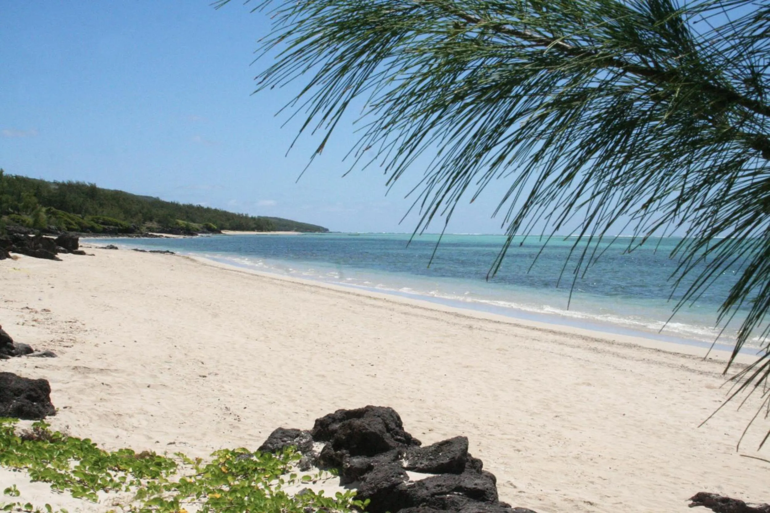 Beach in Bakwa Lodge