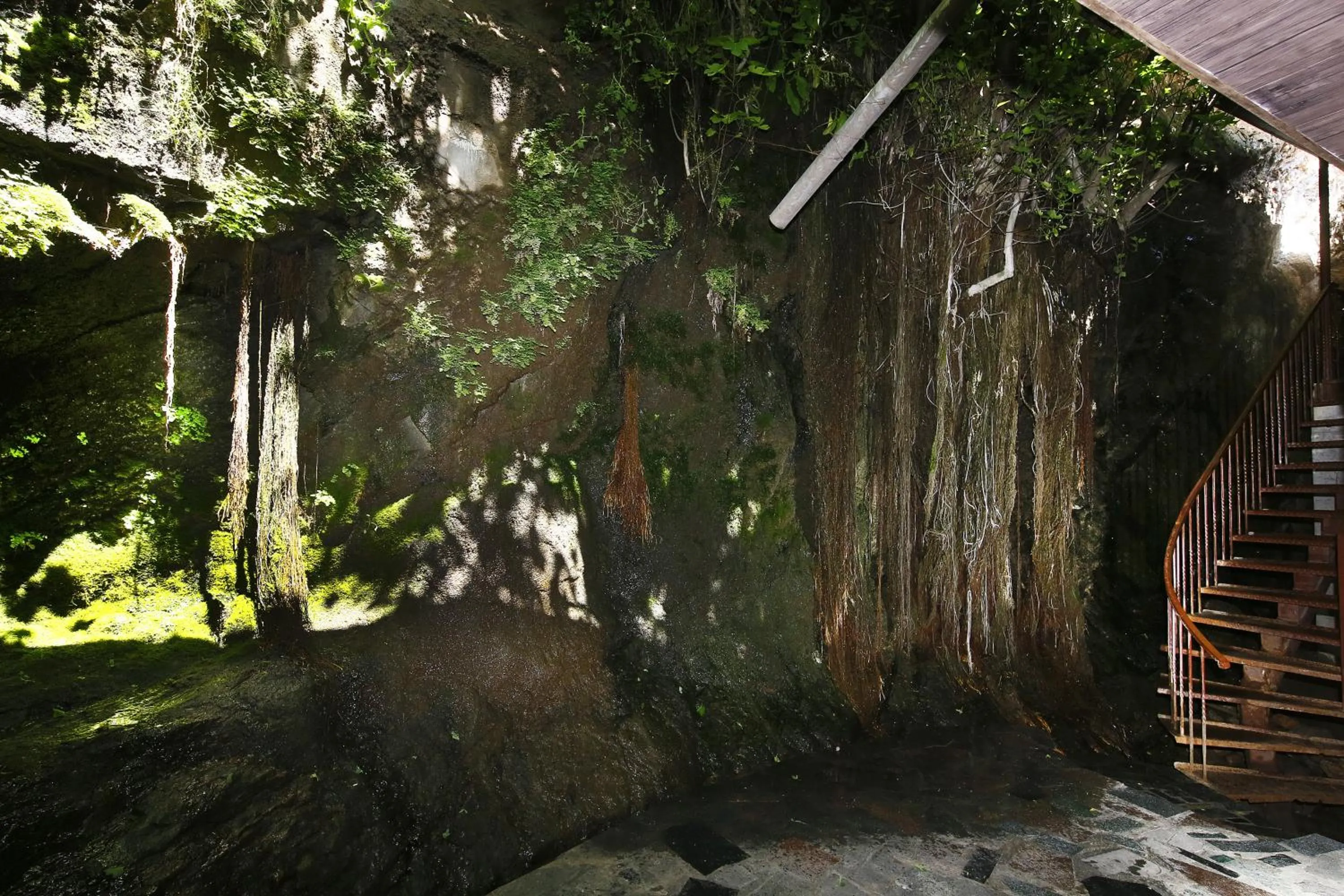 Garden in Bloom Boutique Hotel